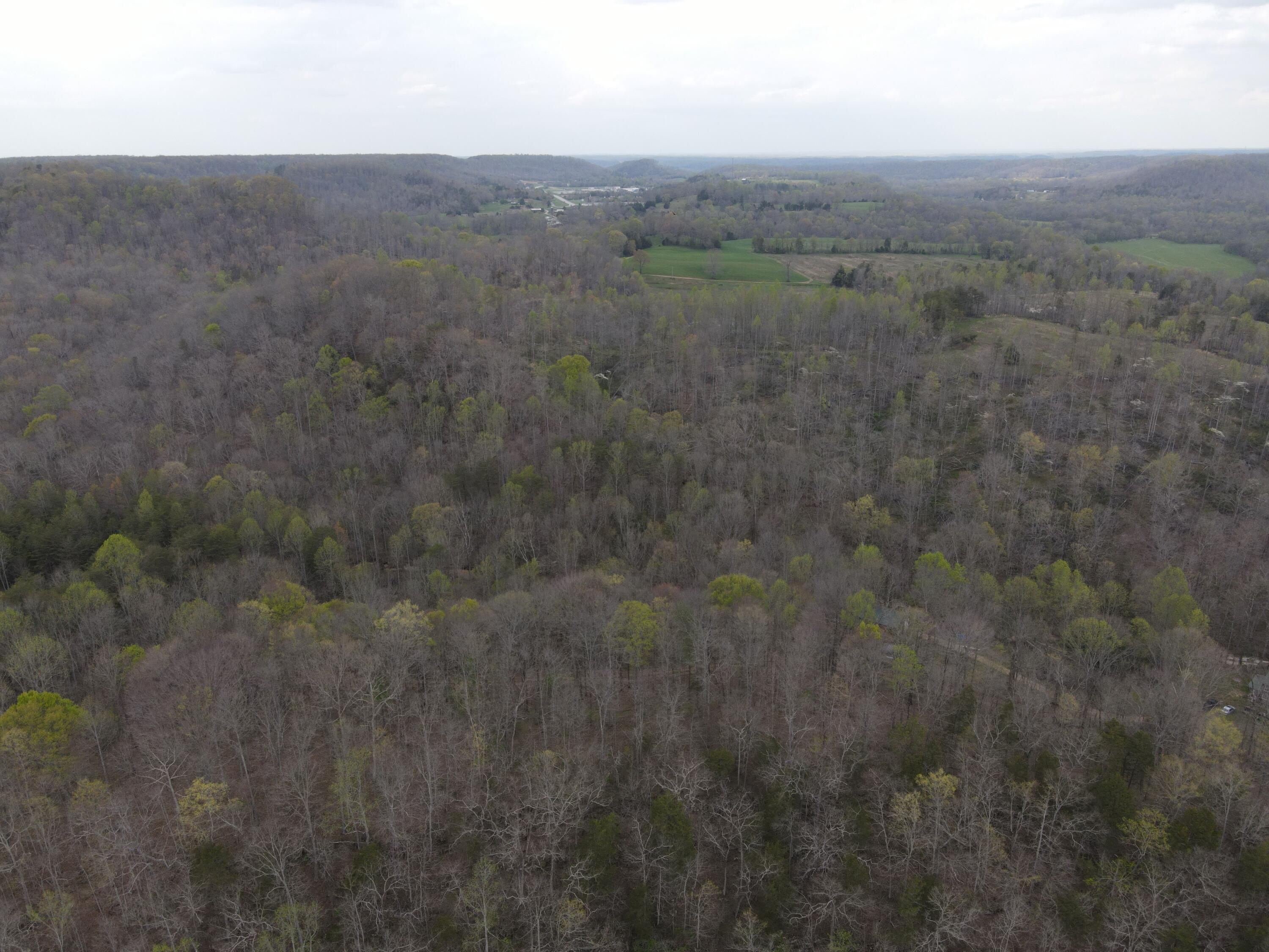 667 Troutstream Road Property Photo 63