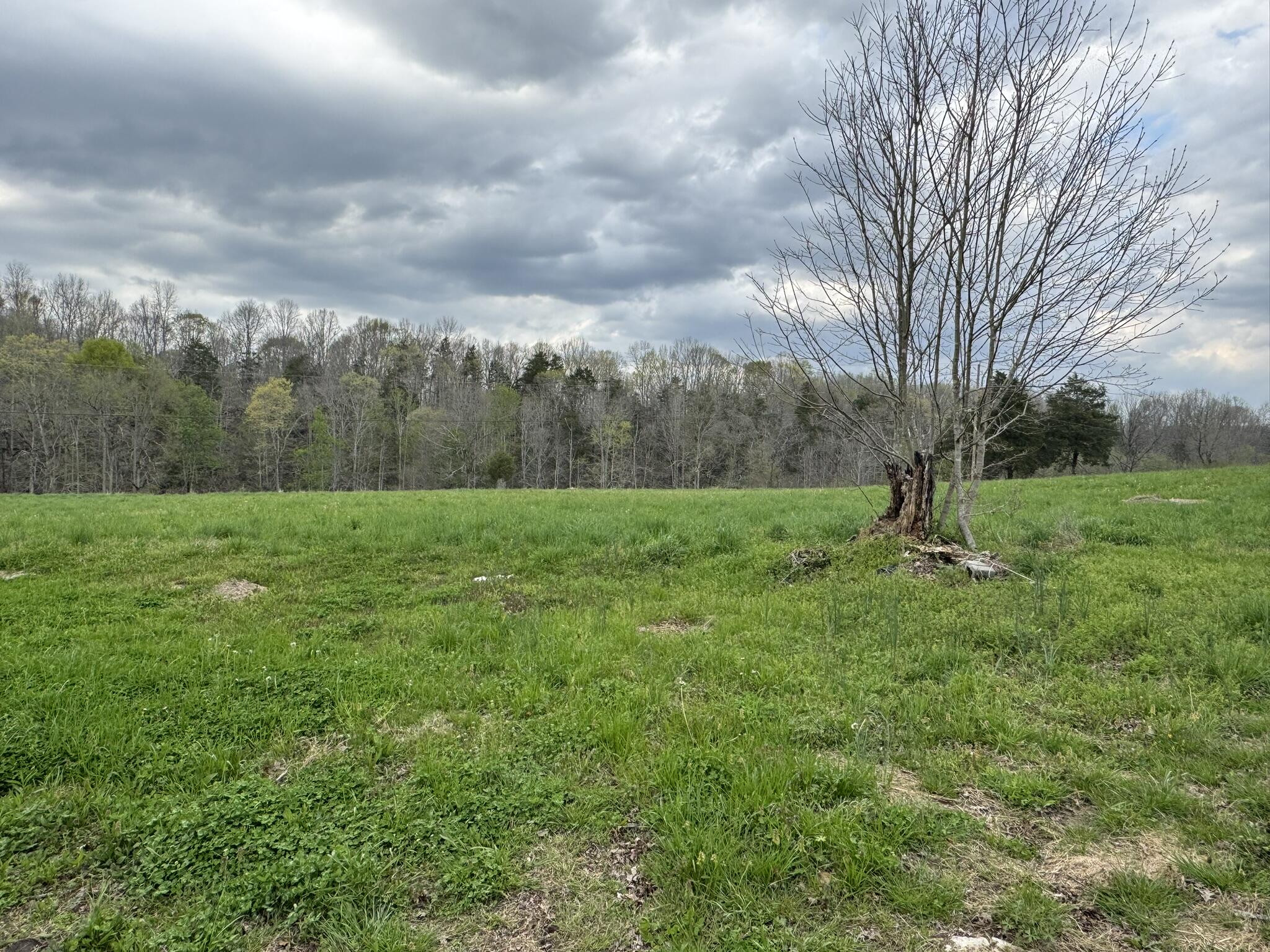 667 Troutstream Road Property Photo 83