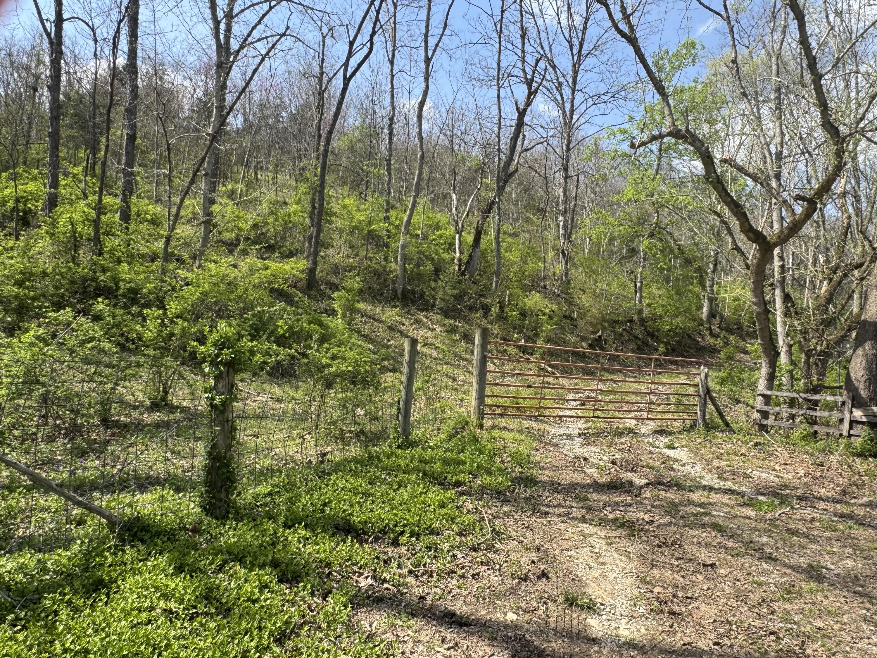 0000 Tates Creek Road Property Photo 1