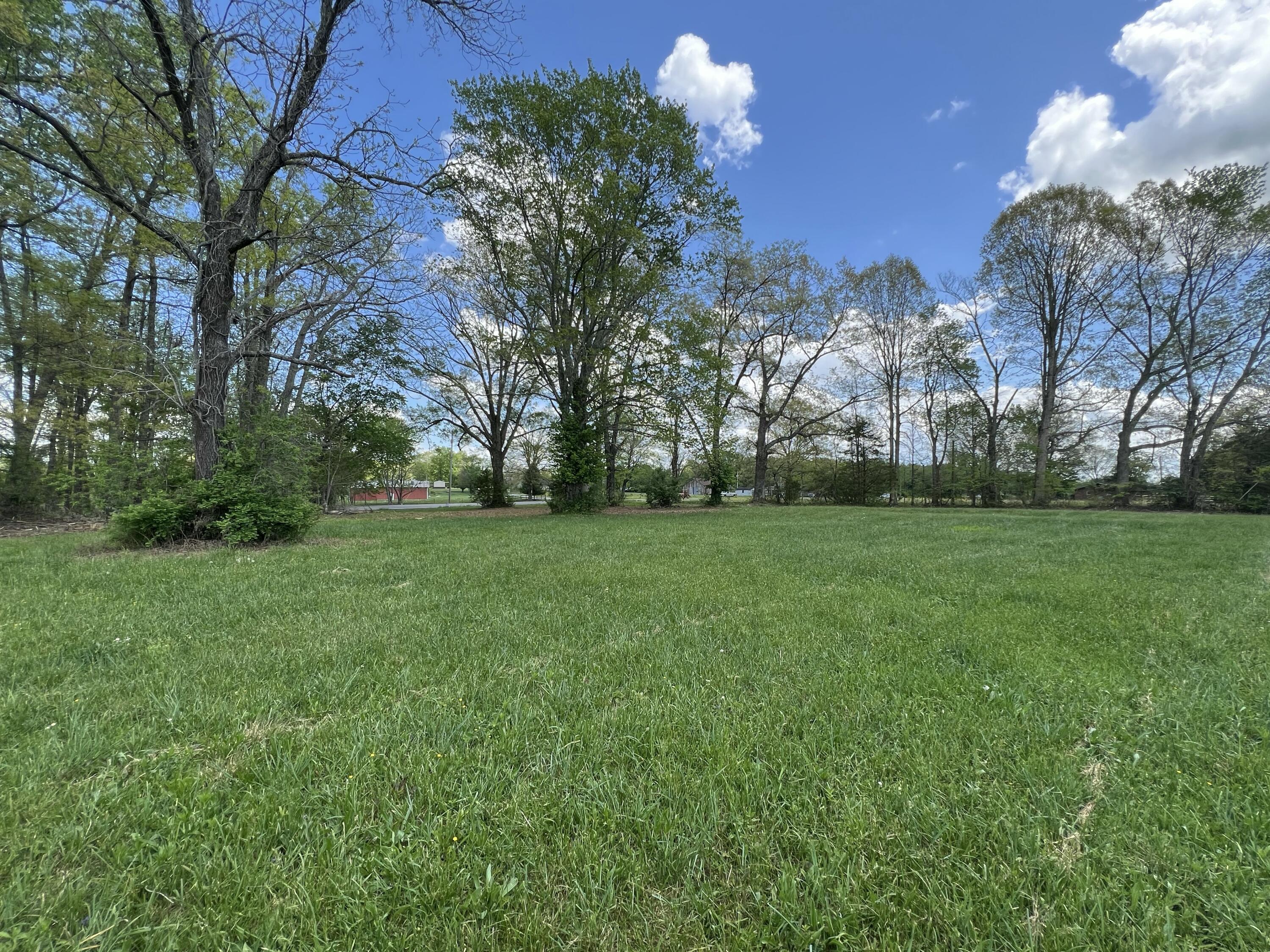 Lot 3 Hwy. 619 Property Photo