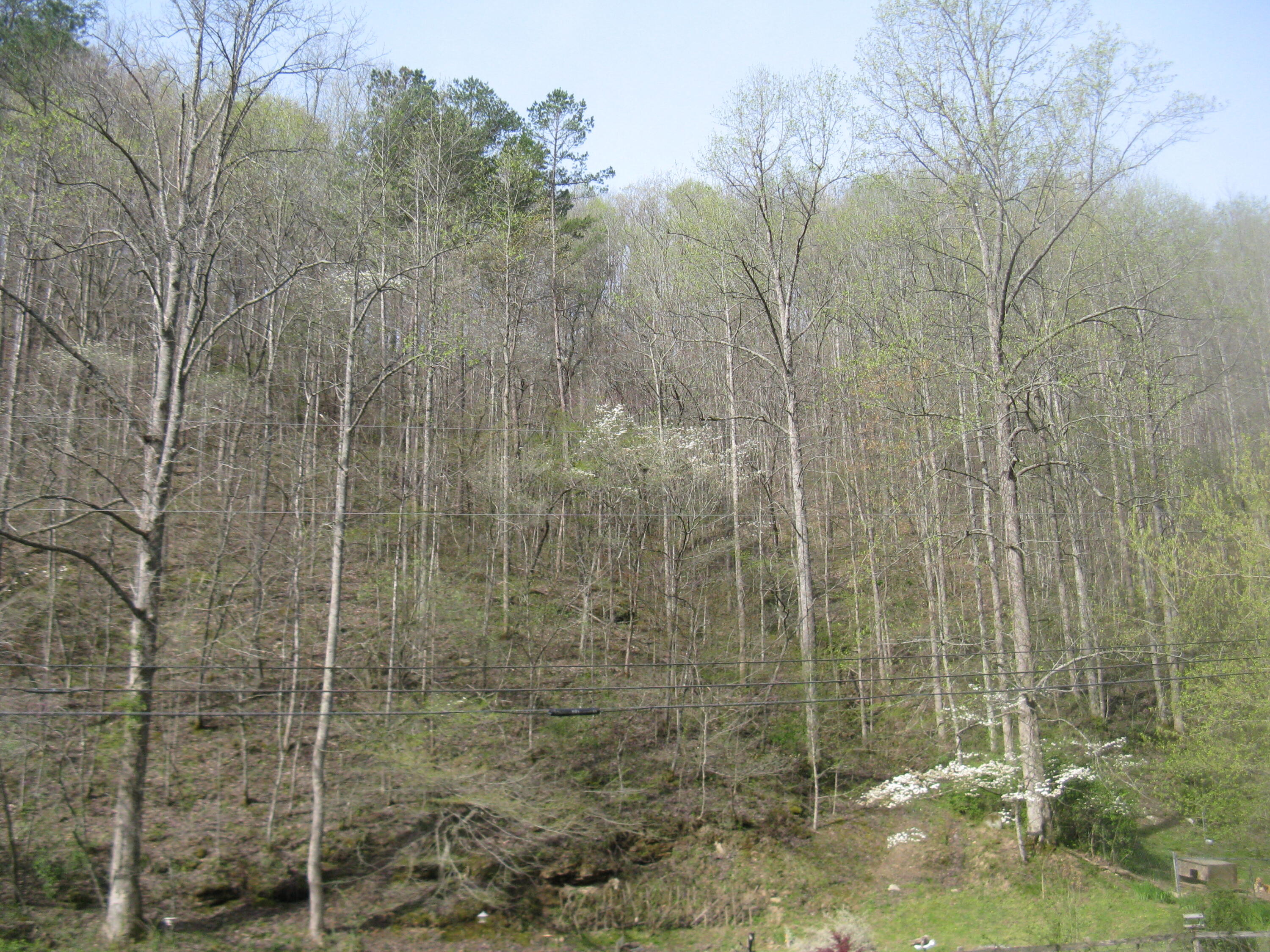 4698 Ells Branch Road Property Photo 1