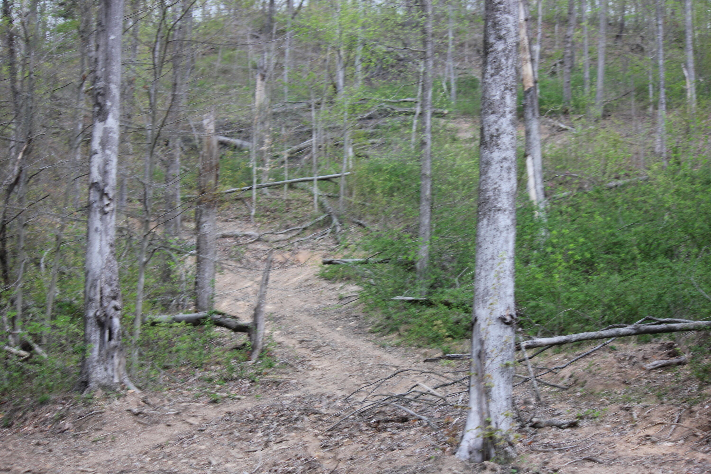 037 Fleming County Real Estate Listings Main Image