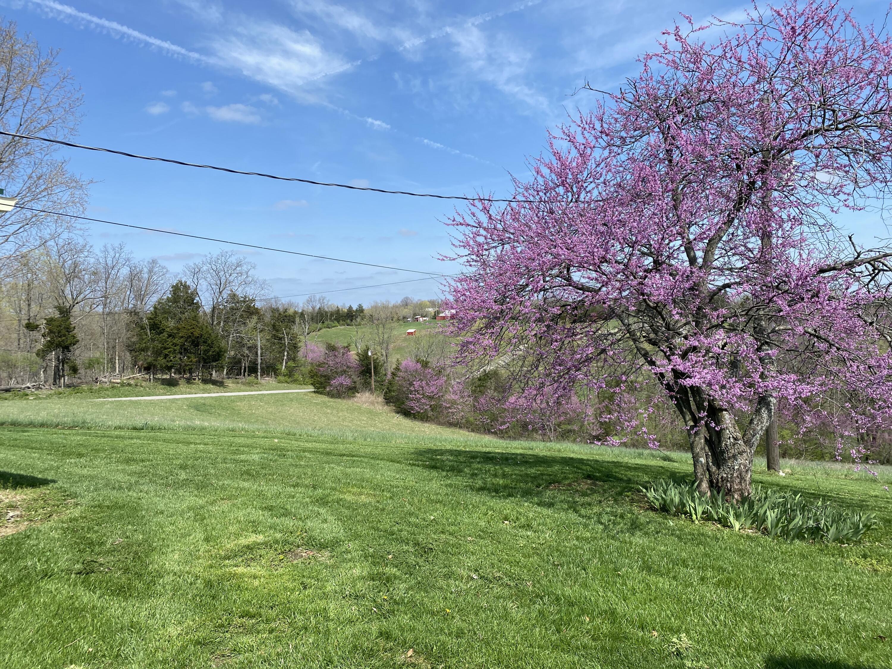 317 Short Road Property Photo 1