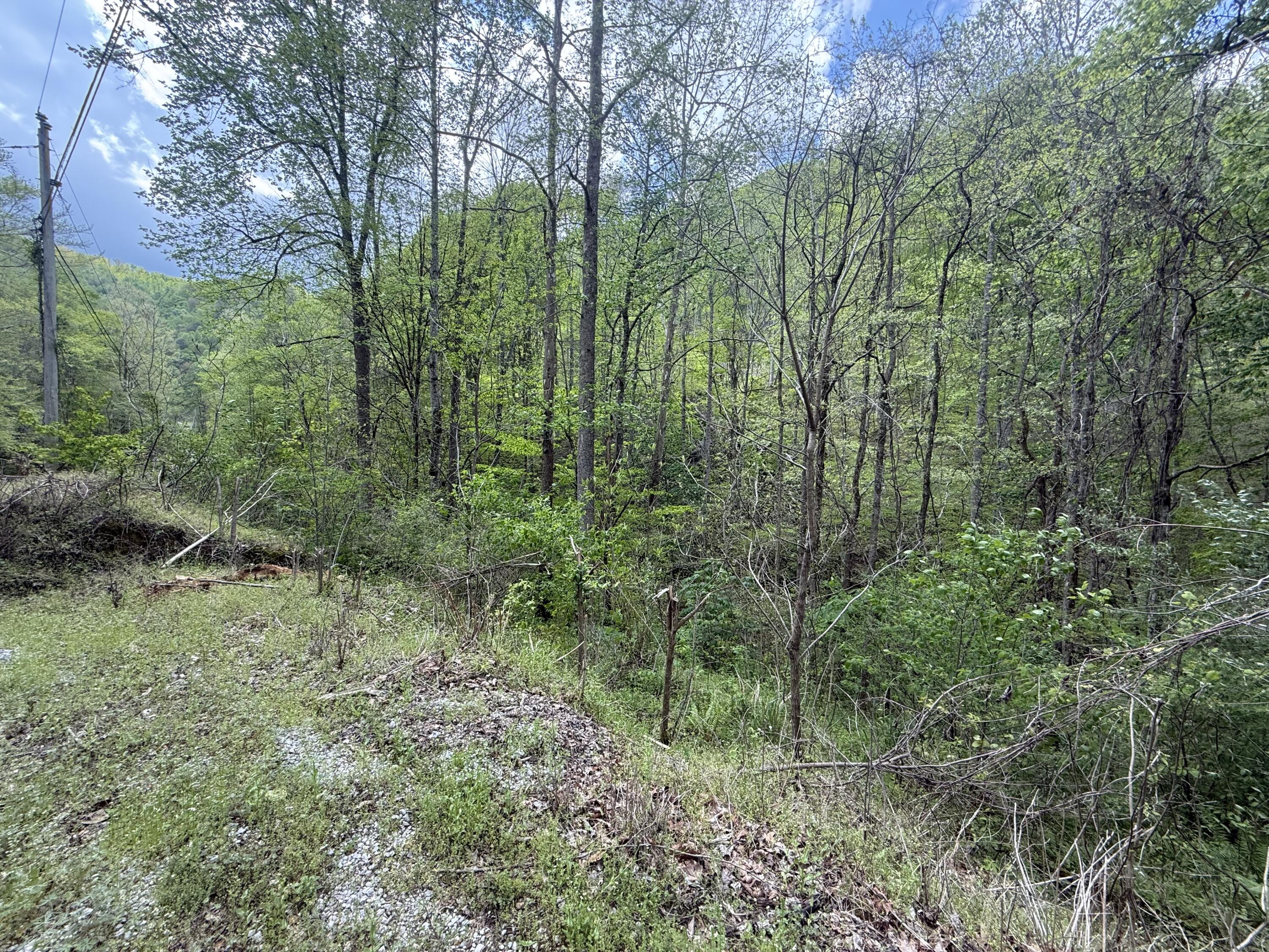 460 Bailey Branch Road Property Photo 4