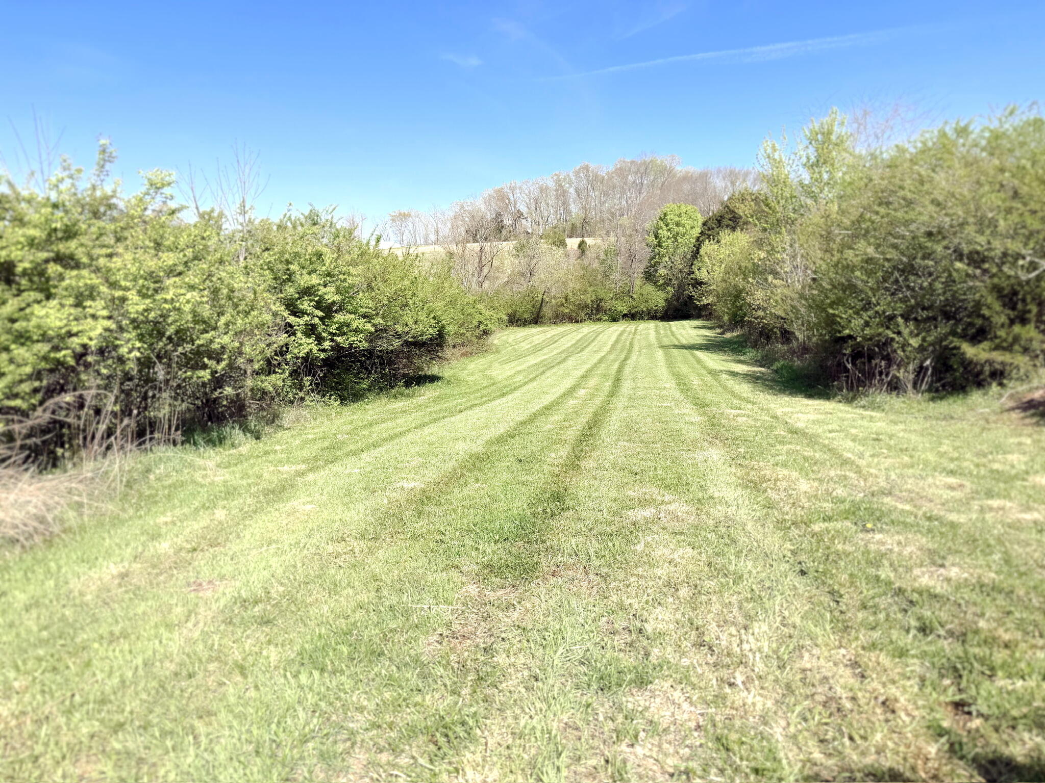 8235 Ky-761 Property Photo 8