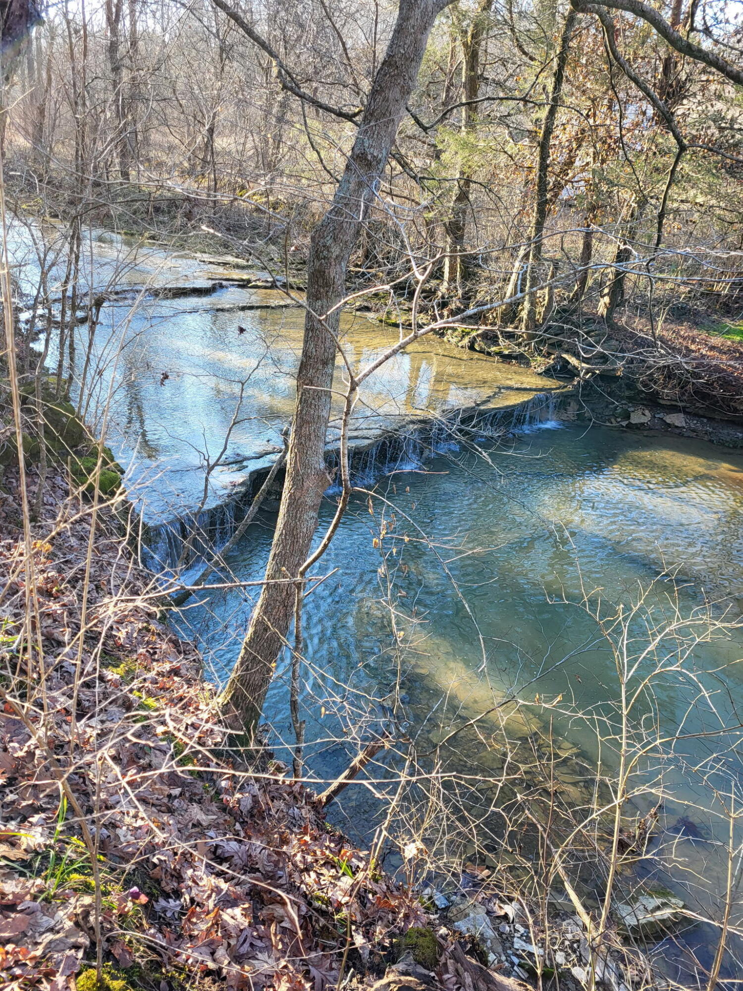 88 Persimmon Ridge Road Property Photo 1