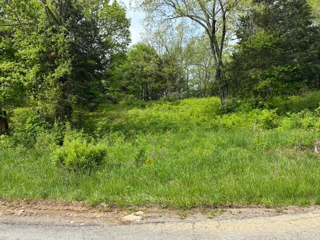 48 Mooreland Drive Property Photo 1