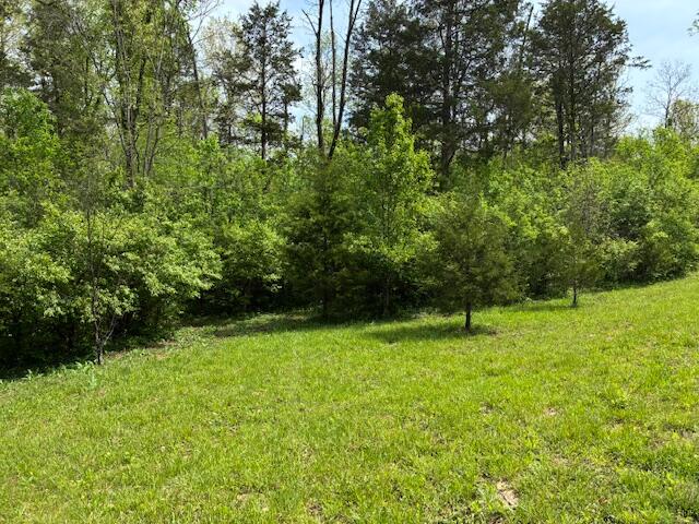 48 Mooreland Drive Property Photo 2