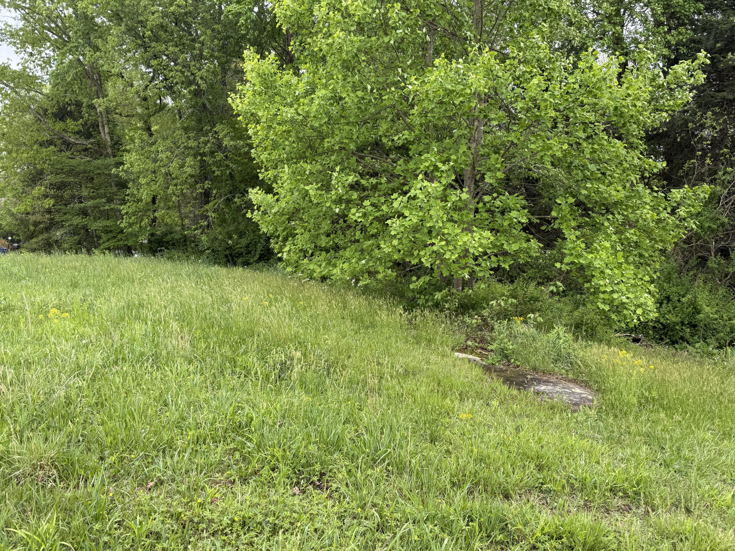 9999 Warm Springs Drive Property Photo 1
