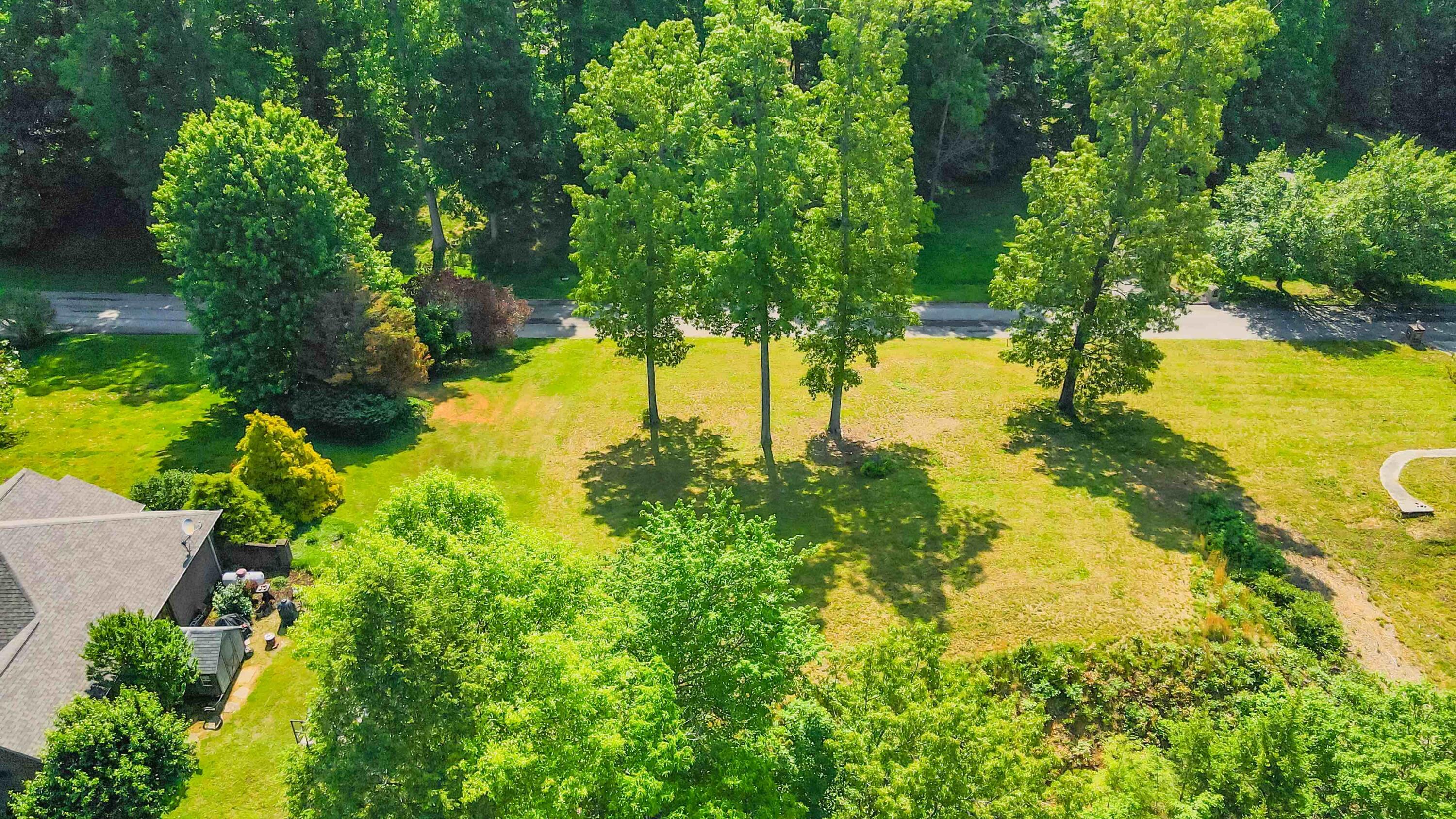 604 Water Cliff Drive Property Photo 4