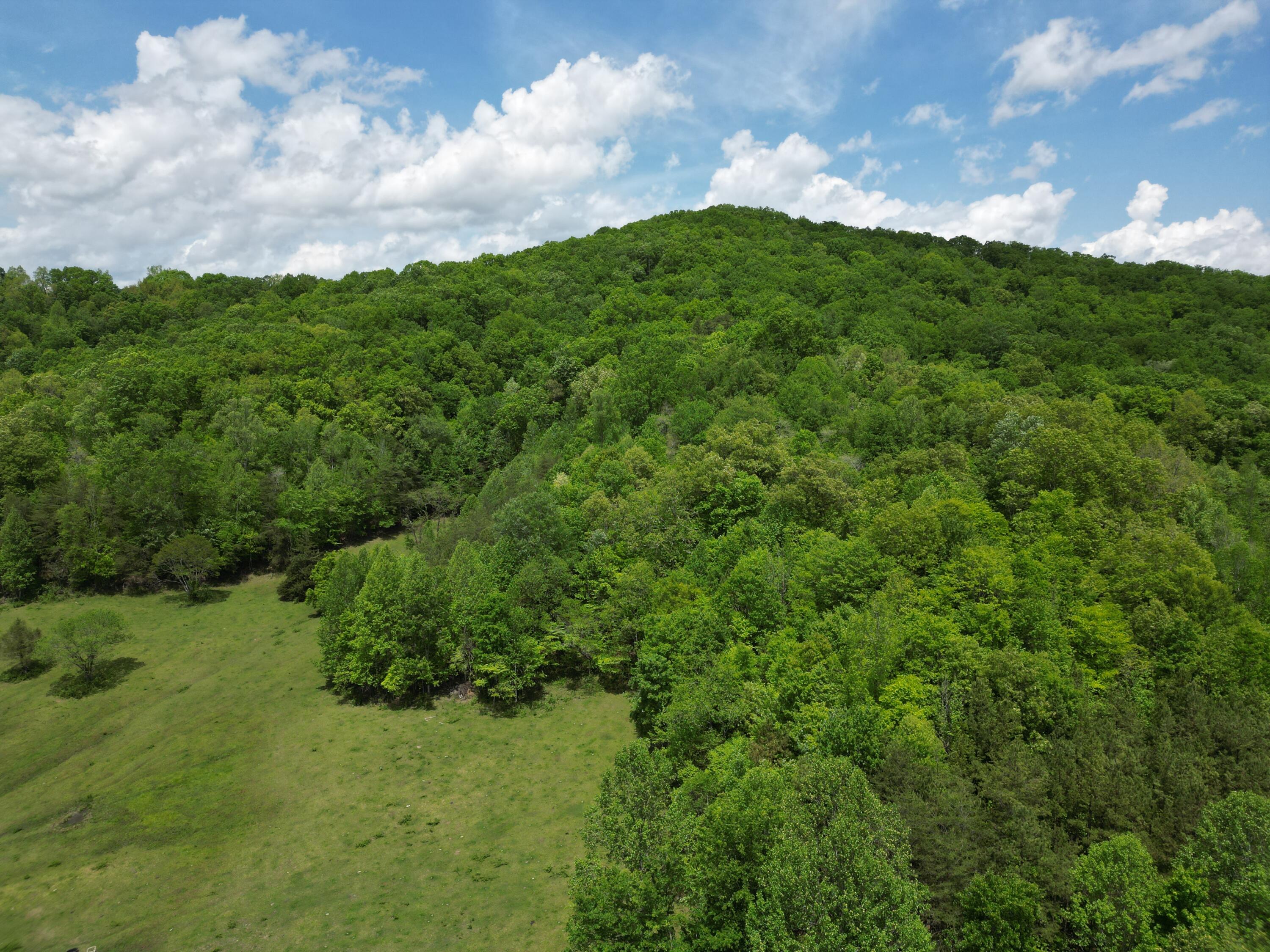 1111 Morris Lane Property Photo 4