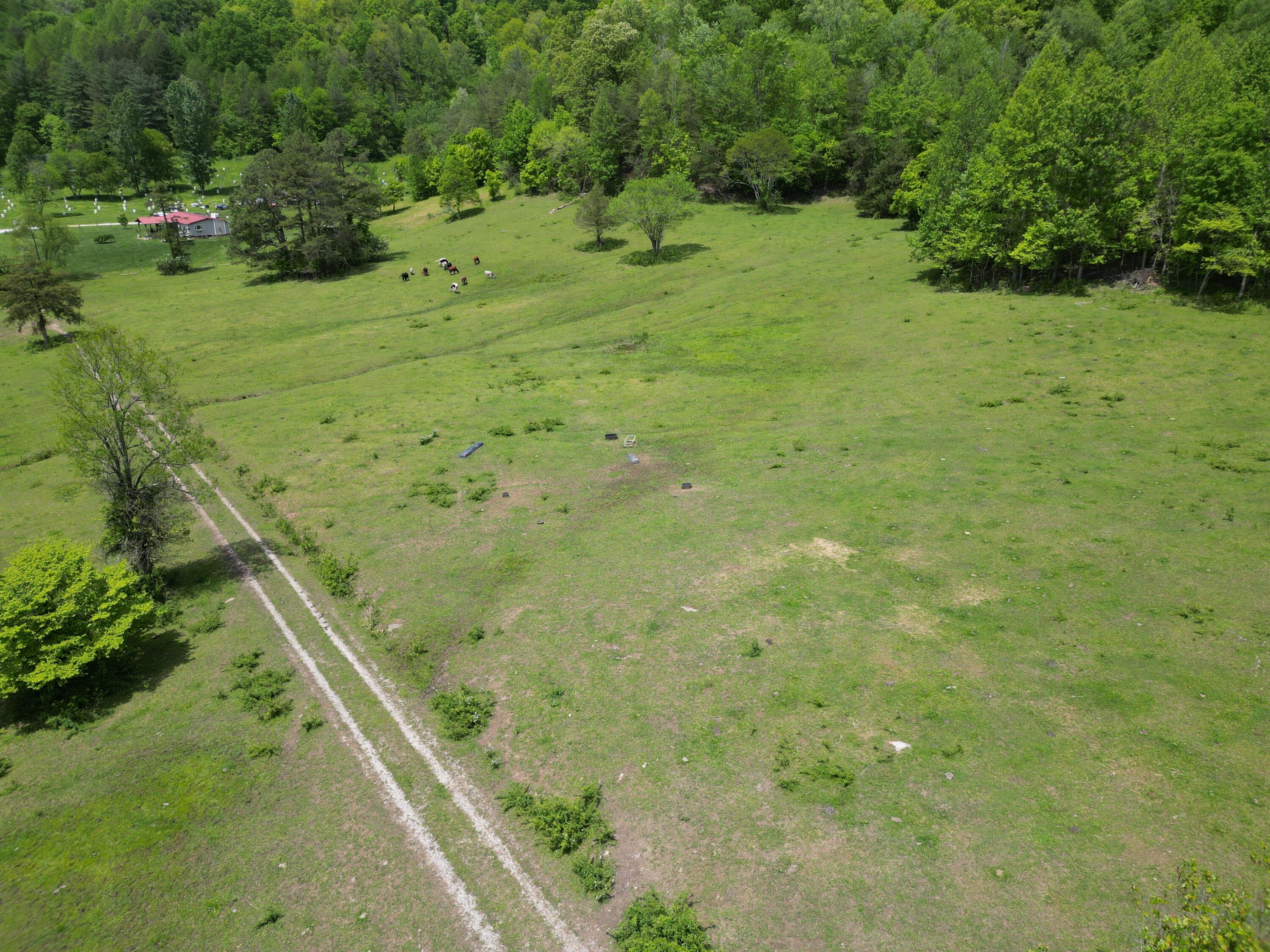 1111 Morris Lane Property Photo 7
