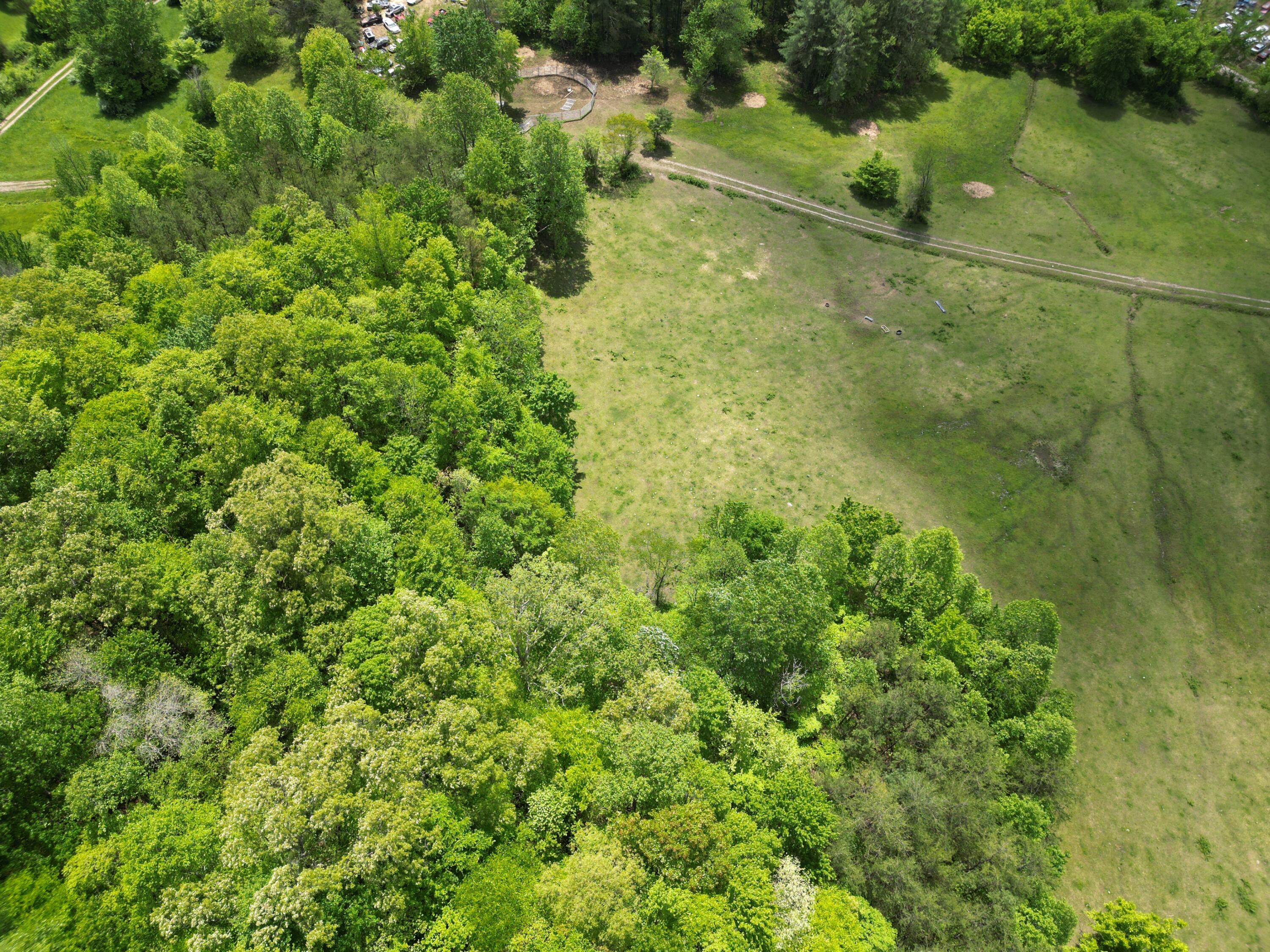 1111 Morris Lane Property Photo 11
