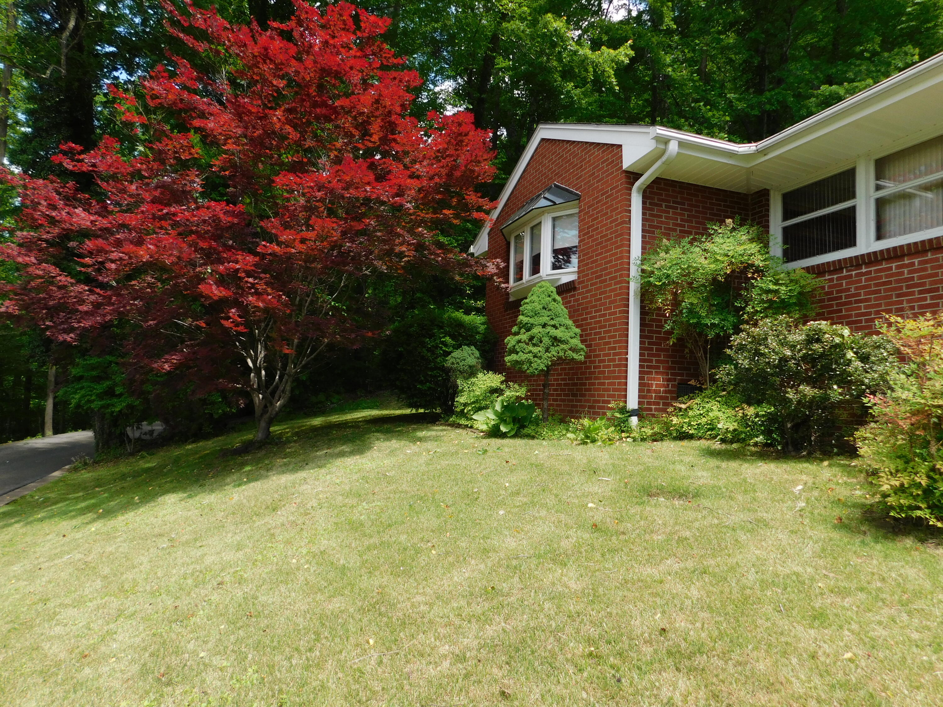 184 Meadow Drive Property Photo 117