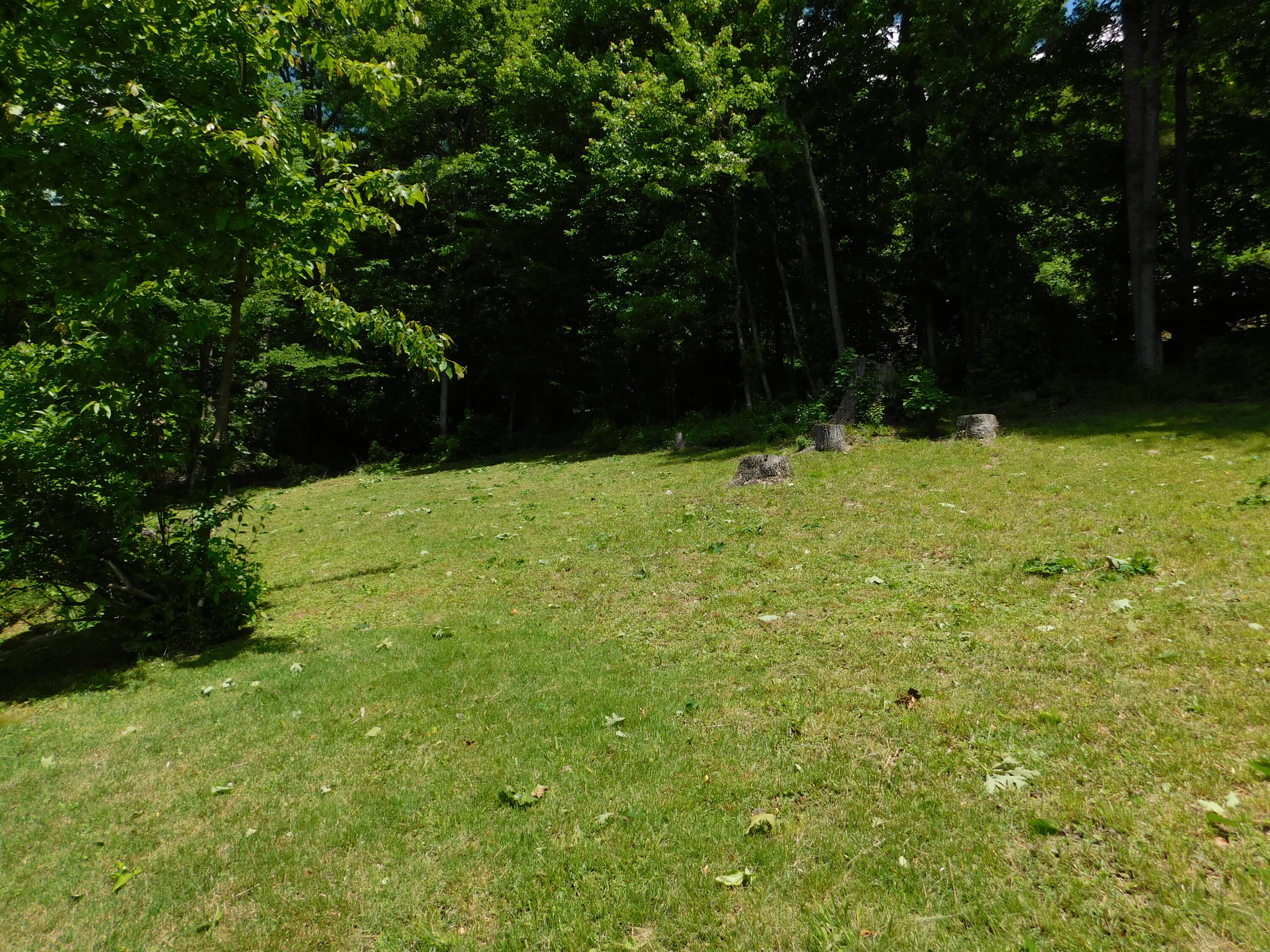 184 Meadow Drive Property Photo 186