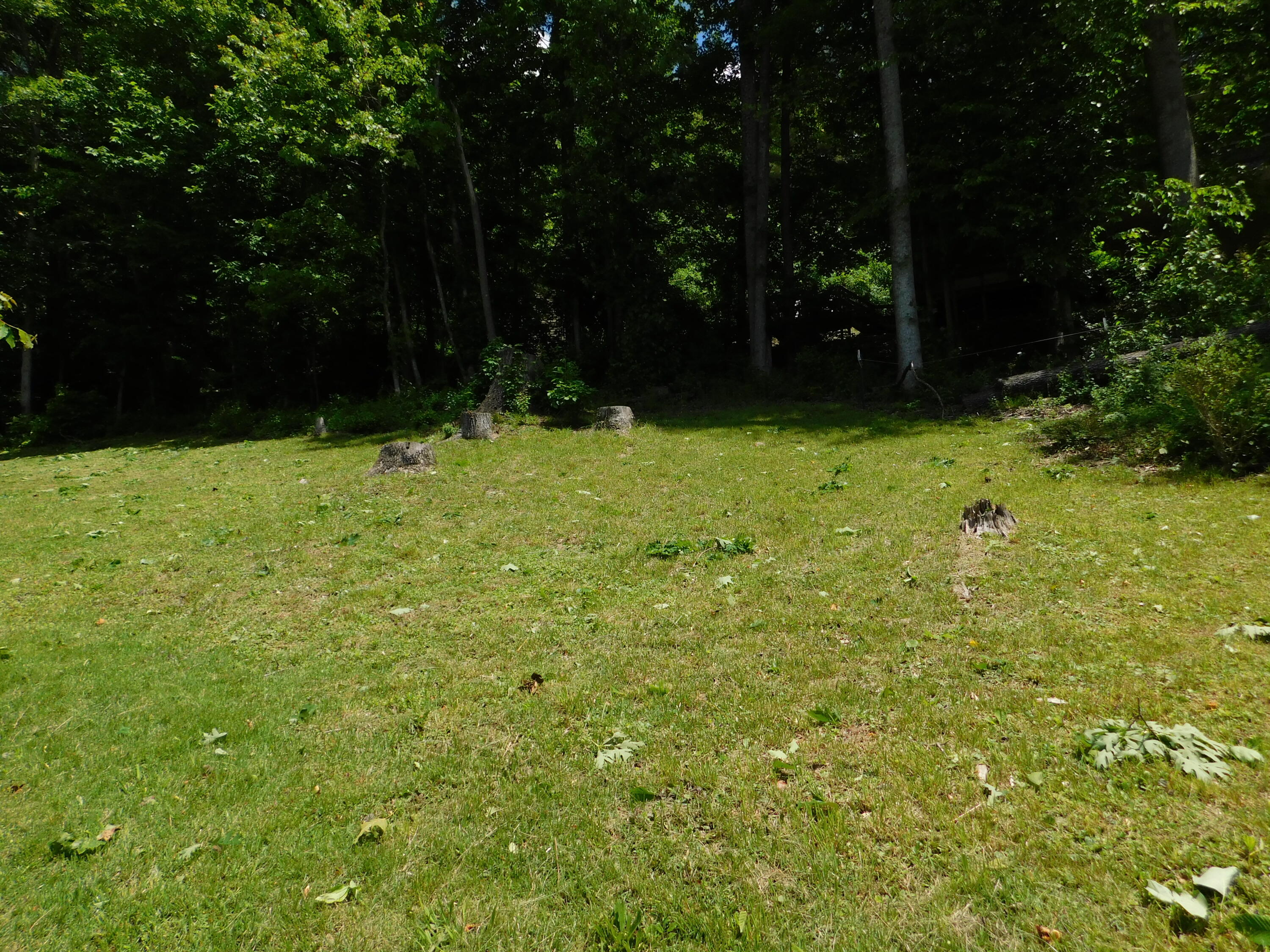 184 Meadow Drive Property Photo 187