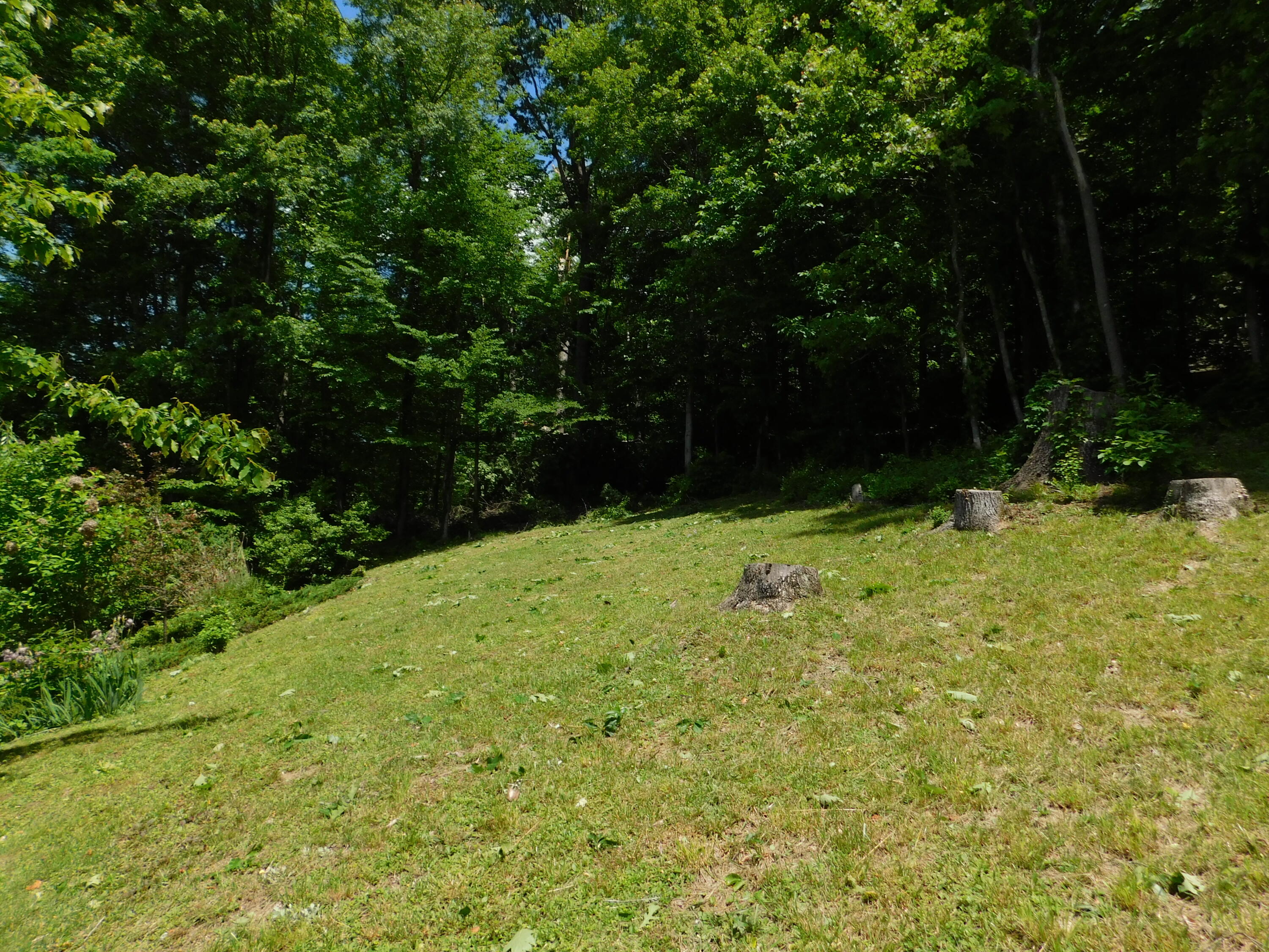 184 Meadow Drive Property Photo 188