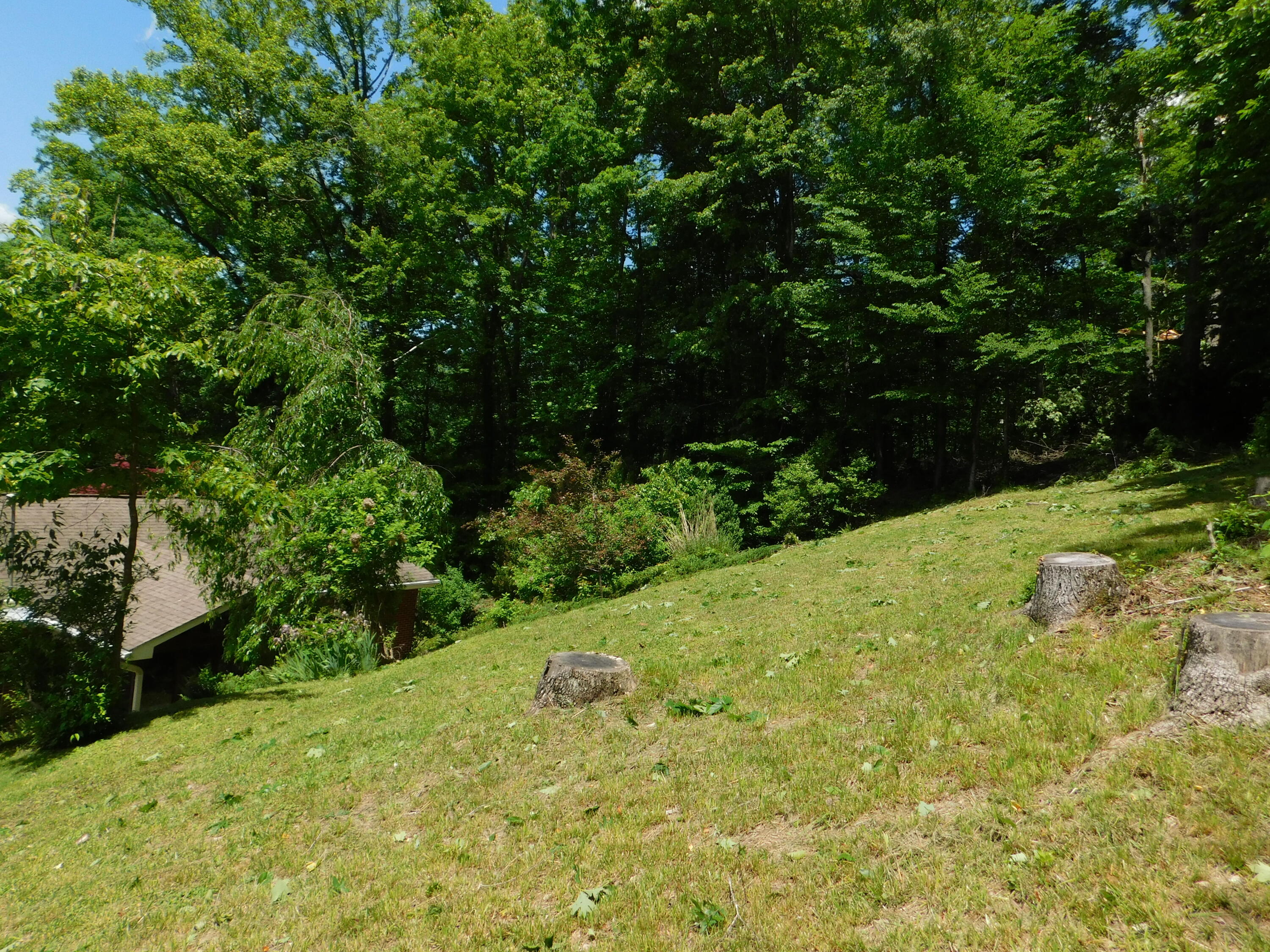 184 Meadow Drive Property Photo 189