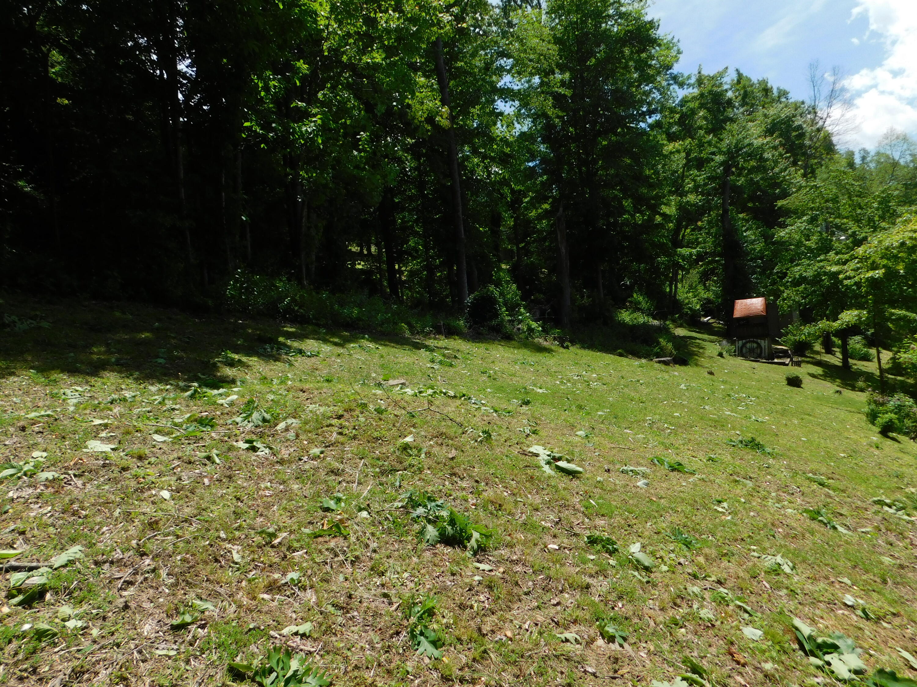 184 Meadow Drive Property Photo 193