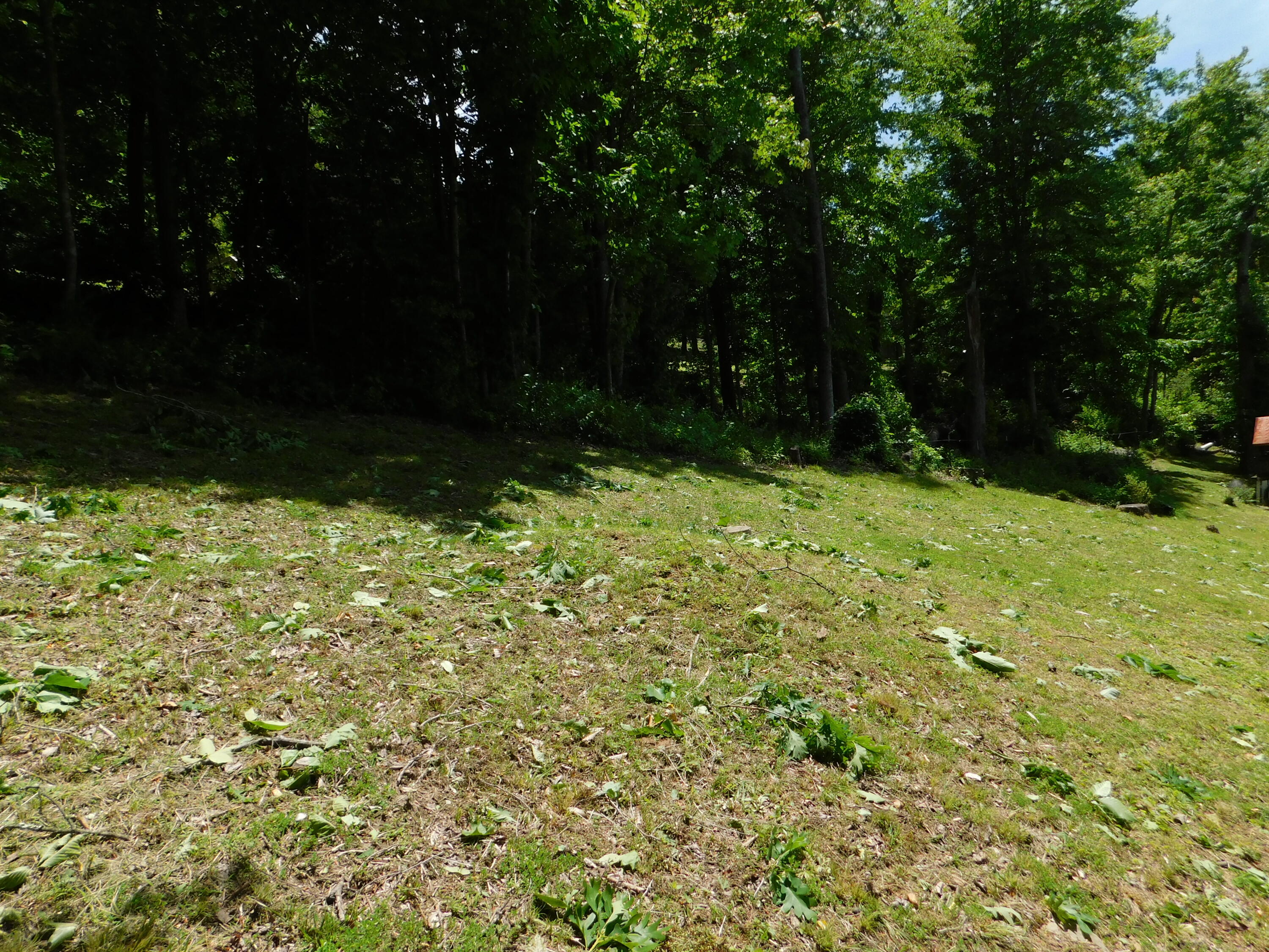 184 Meadow Drive Property Photo 194