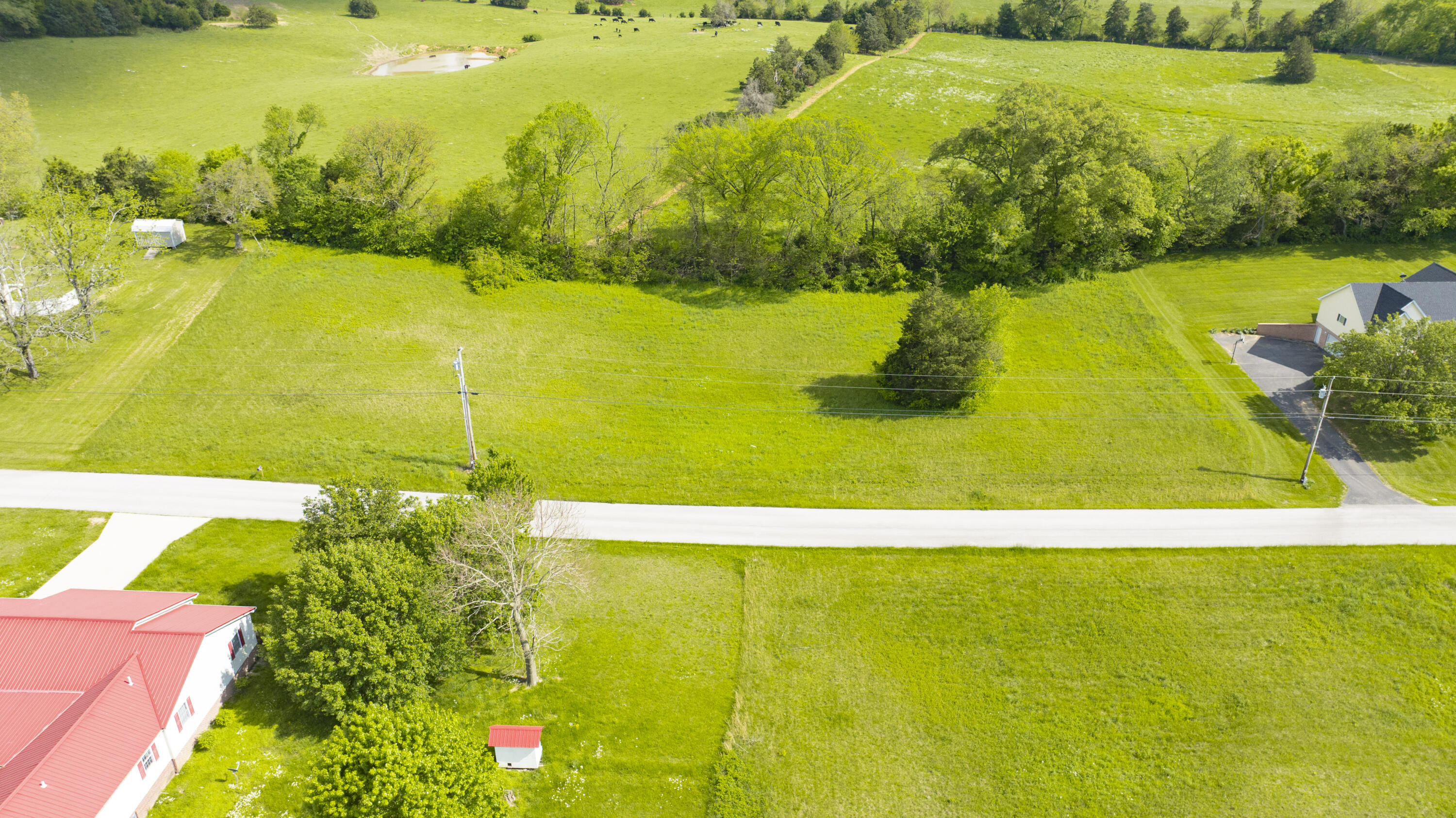 246 Fall Circle Property Photo 3