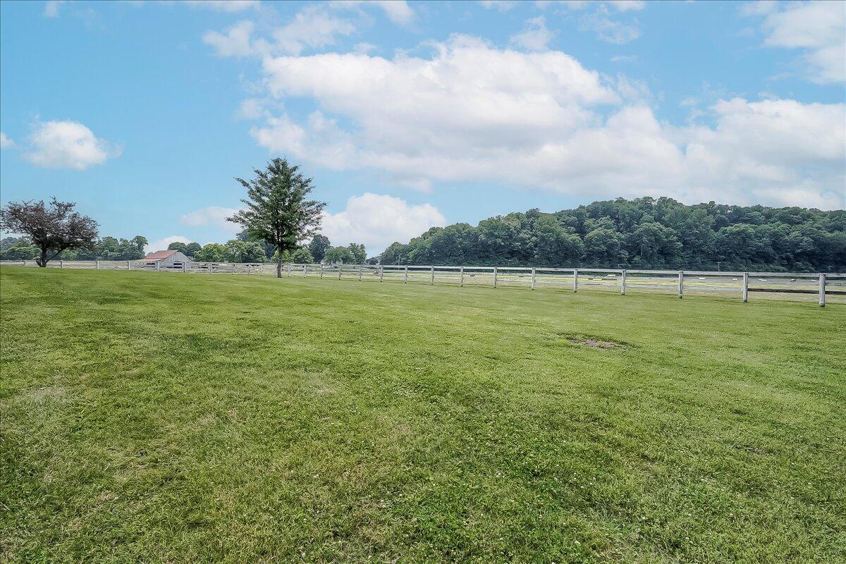 2630 Steadmantown Lane Property Photo 7