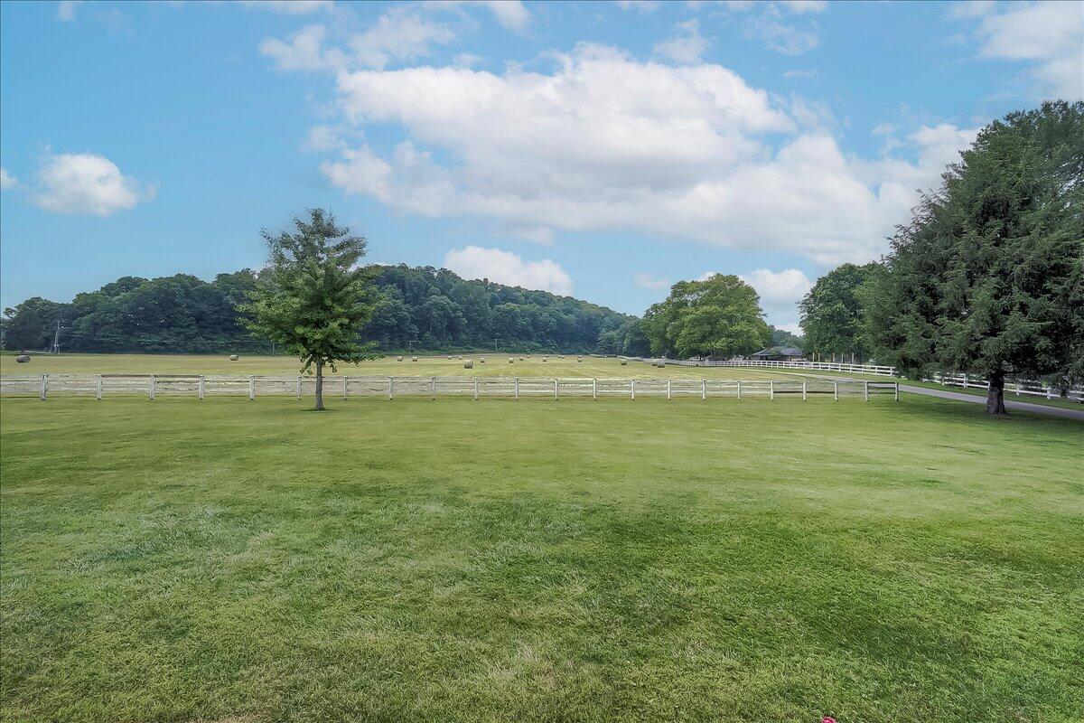 2630 Steadmantown Lane Property Photo 45