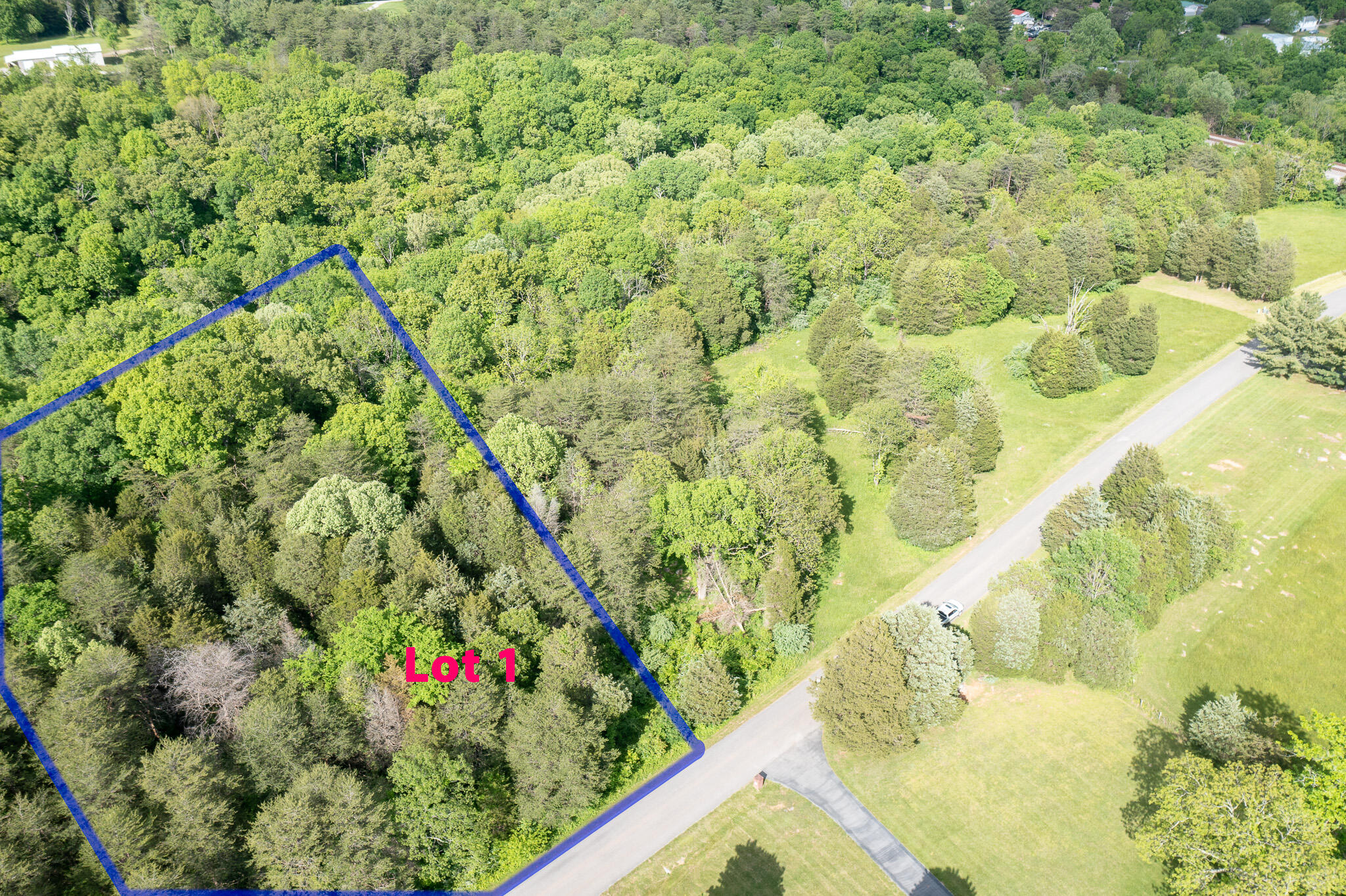 Lot 1 Cedar Pointe Drive Property Photo 3