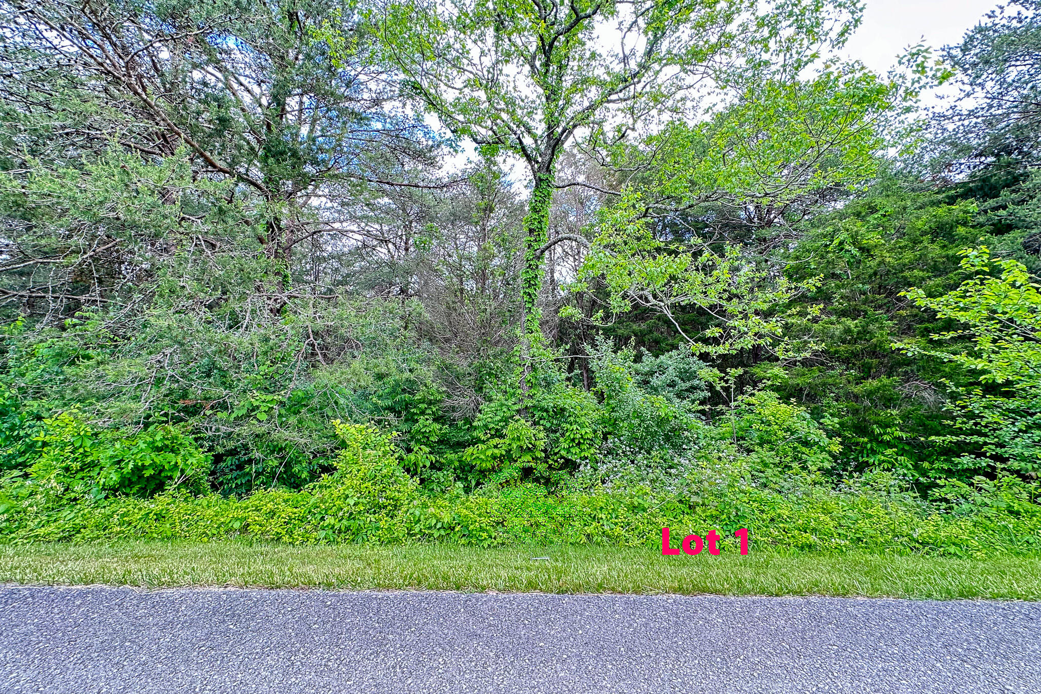 Lot 1 Cedar Pointe Drive Property Photo 4
