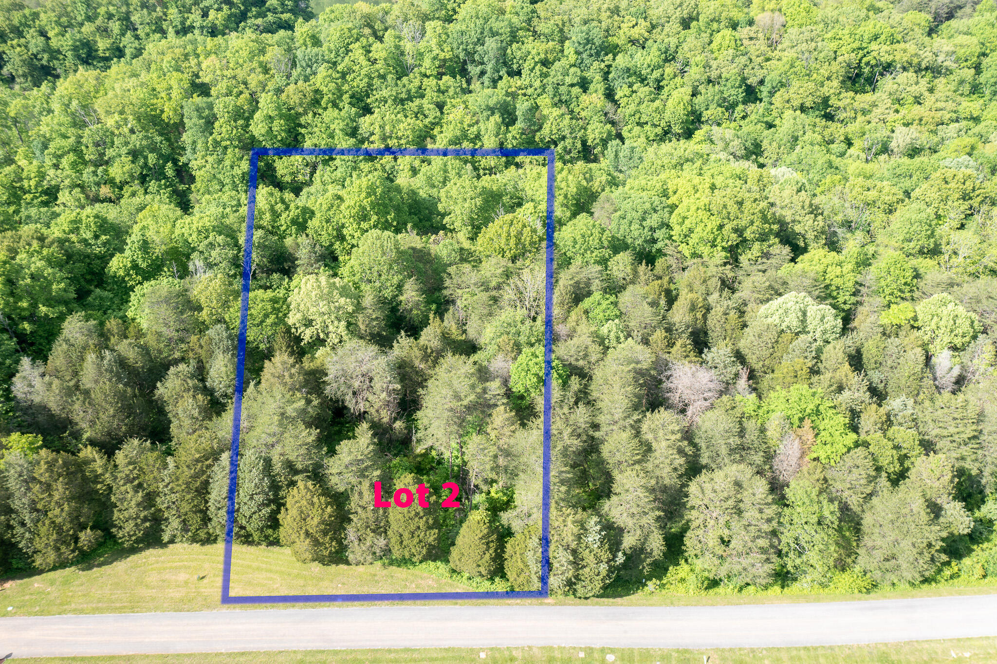 Lot 2 Cedar Pointe Drive Property Photo 3