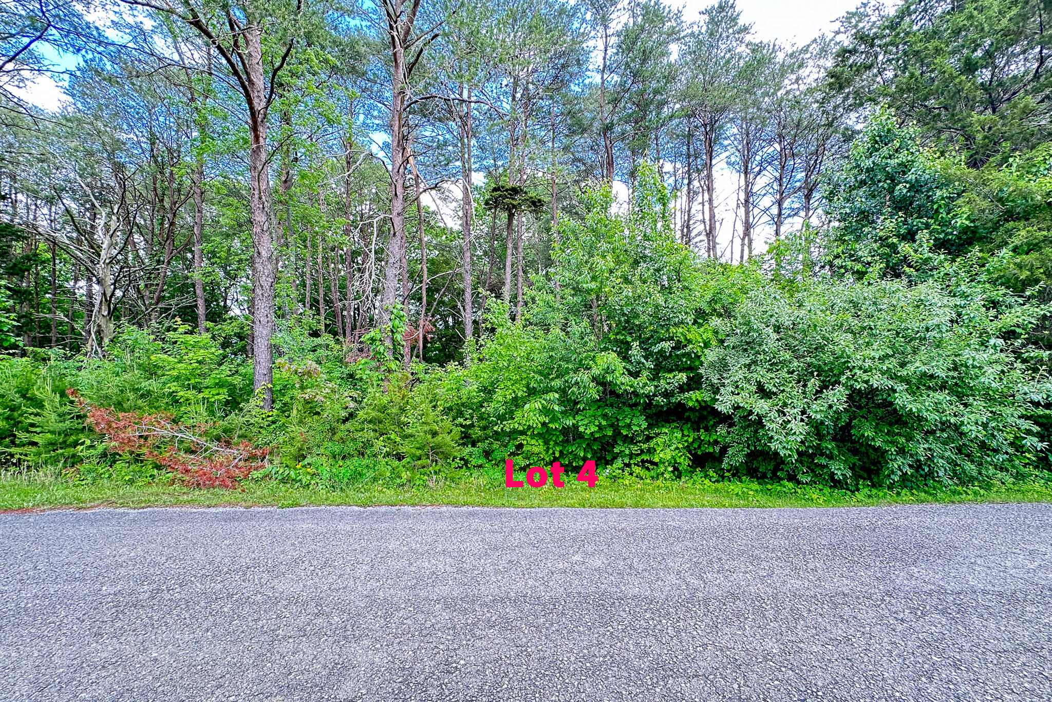 Lot 4 Cedar Pointe Drive Property Photo 3