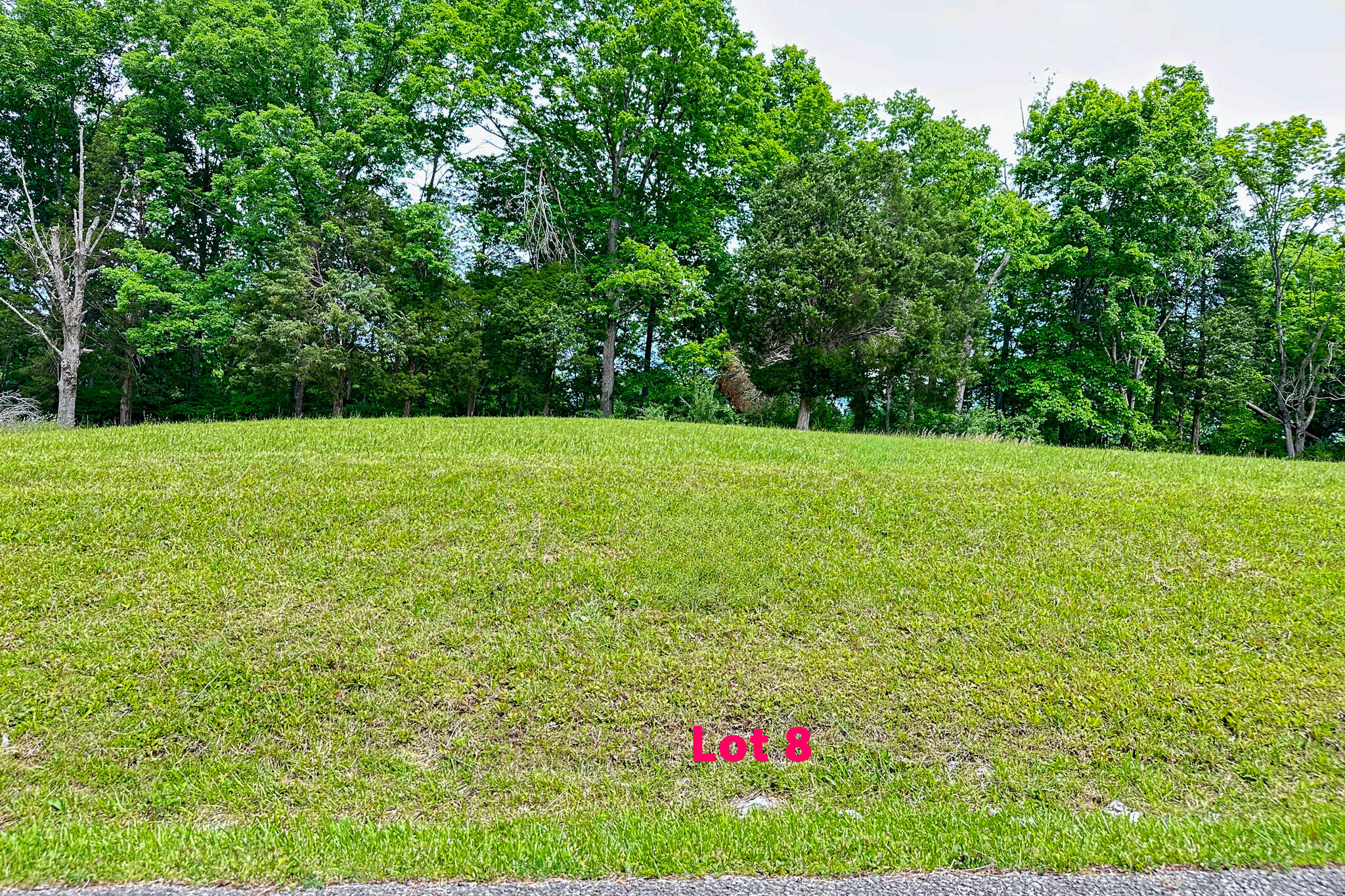 Lot 8 Cedar Pointe Drive Property Photo 2