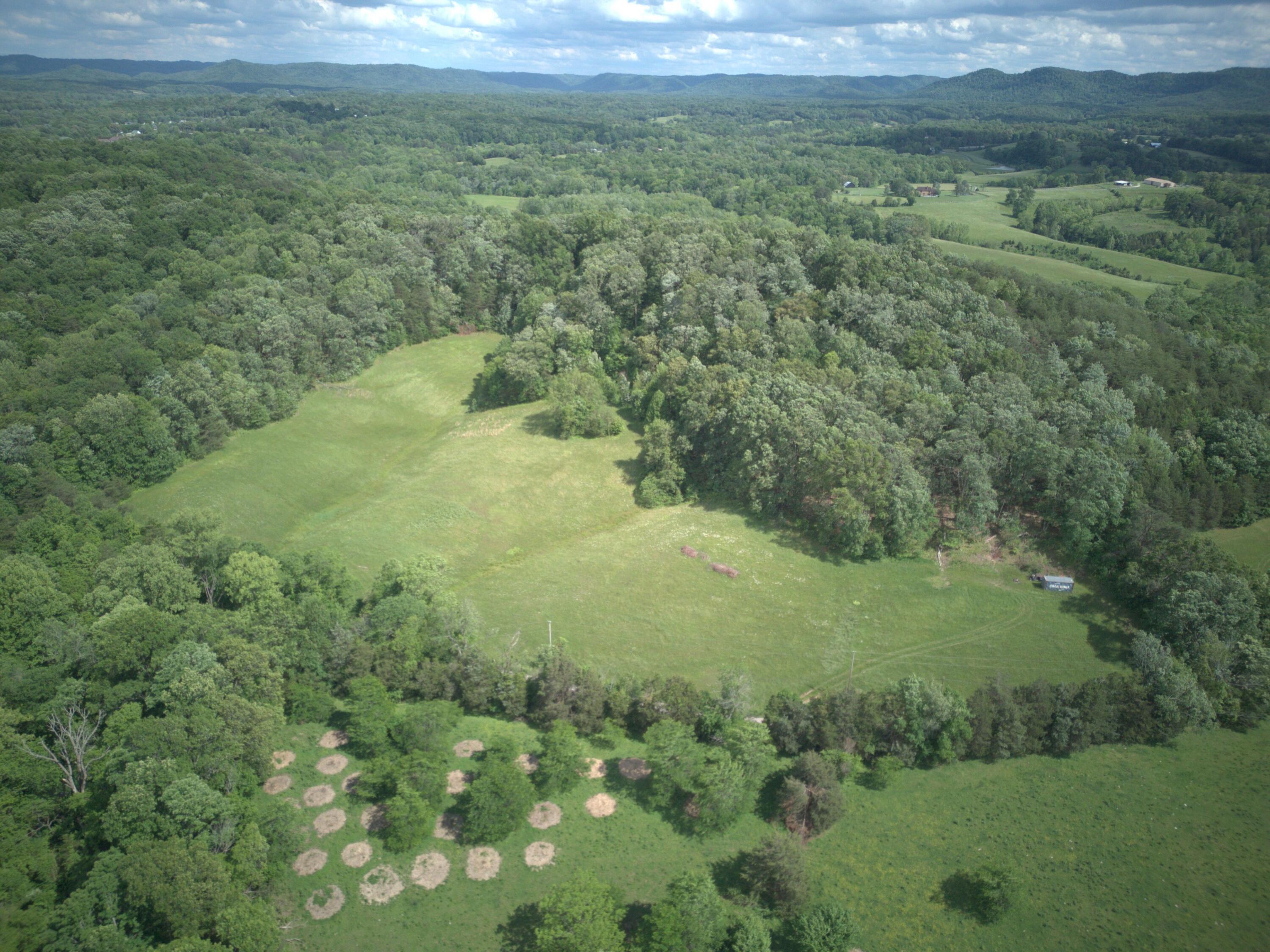 300 Stone Road Property Photo 4