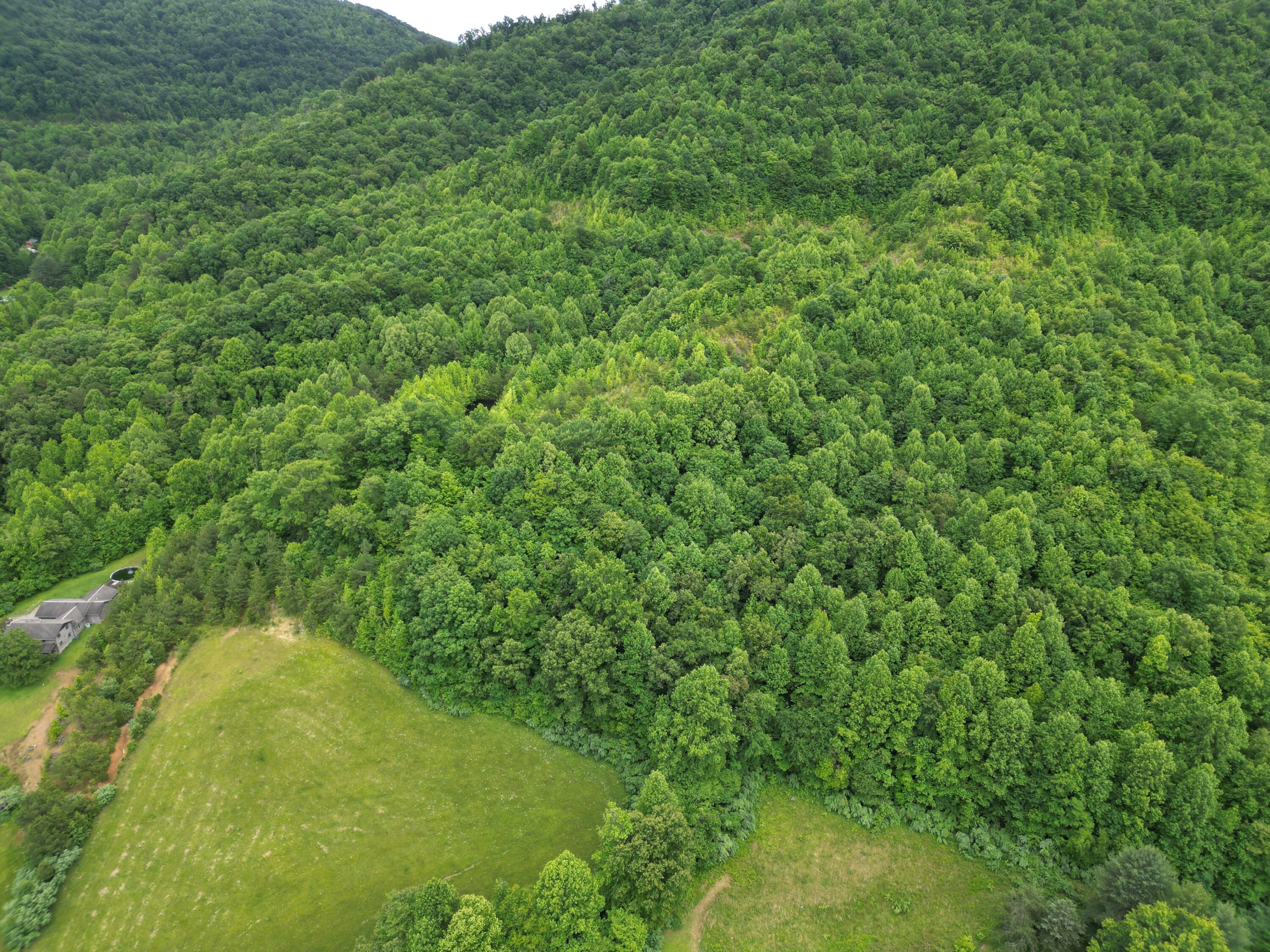 9999 King Fork Road Property Photo 1