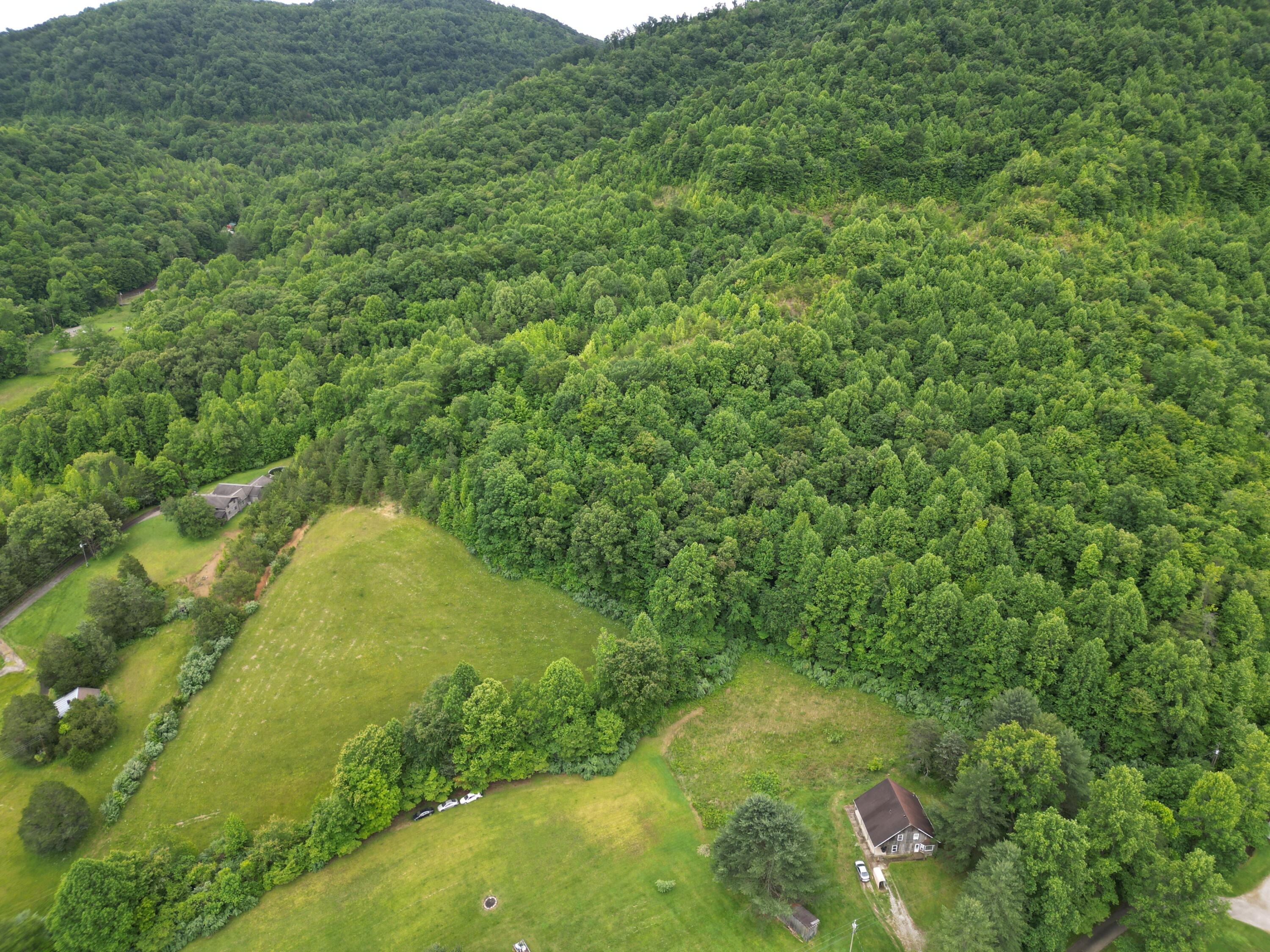 9999 King Fork Road Property Photo 1
