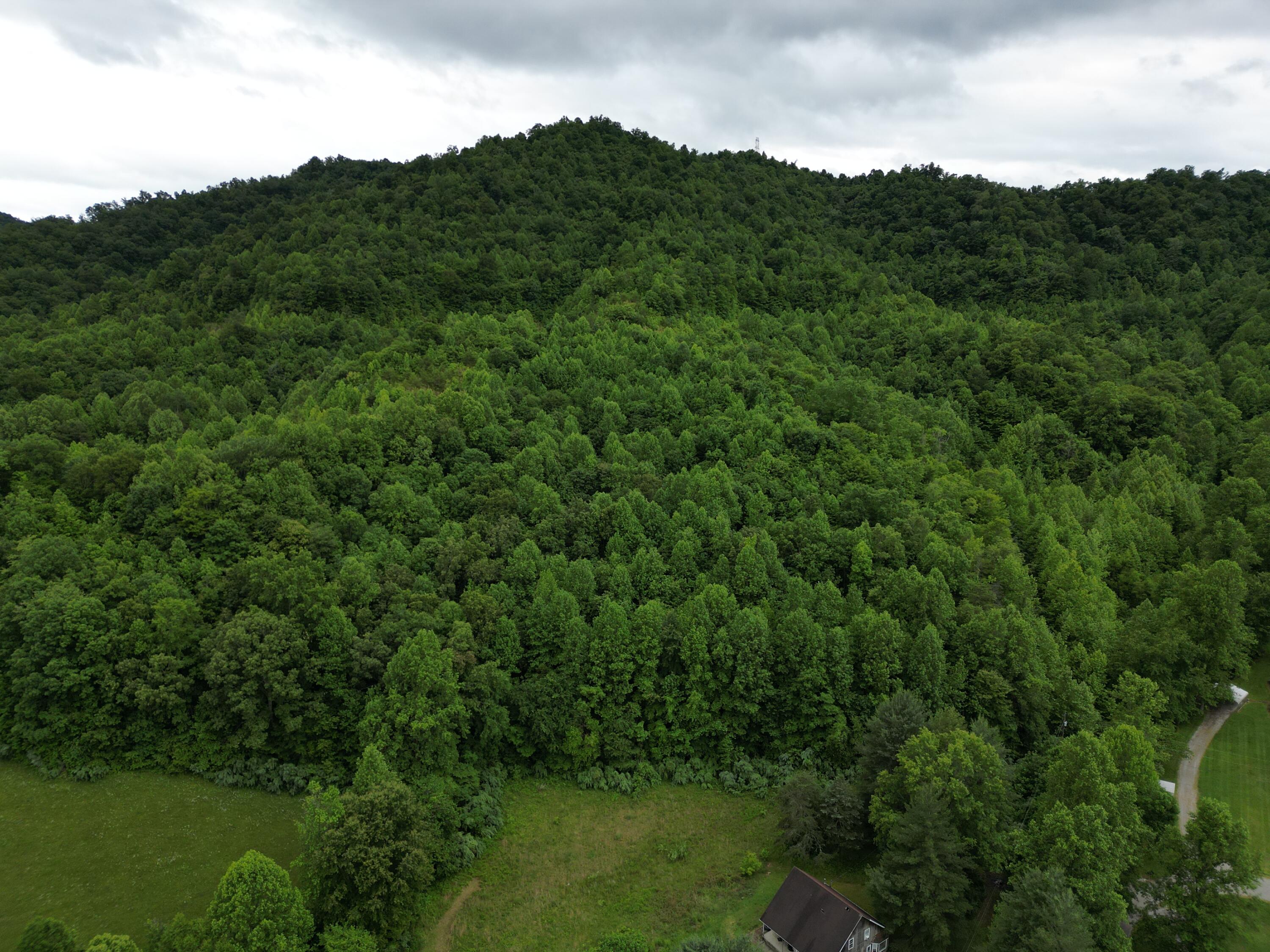 9999 King Fork Road Property Photo 6