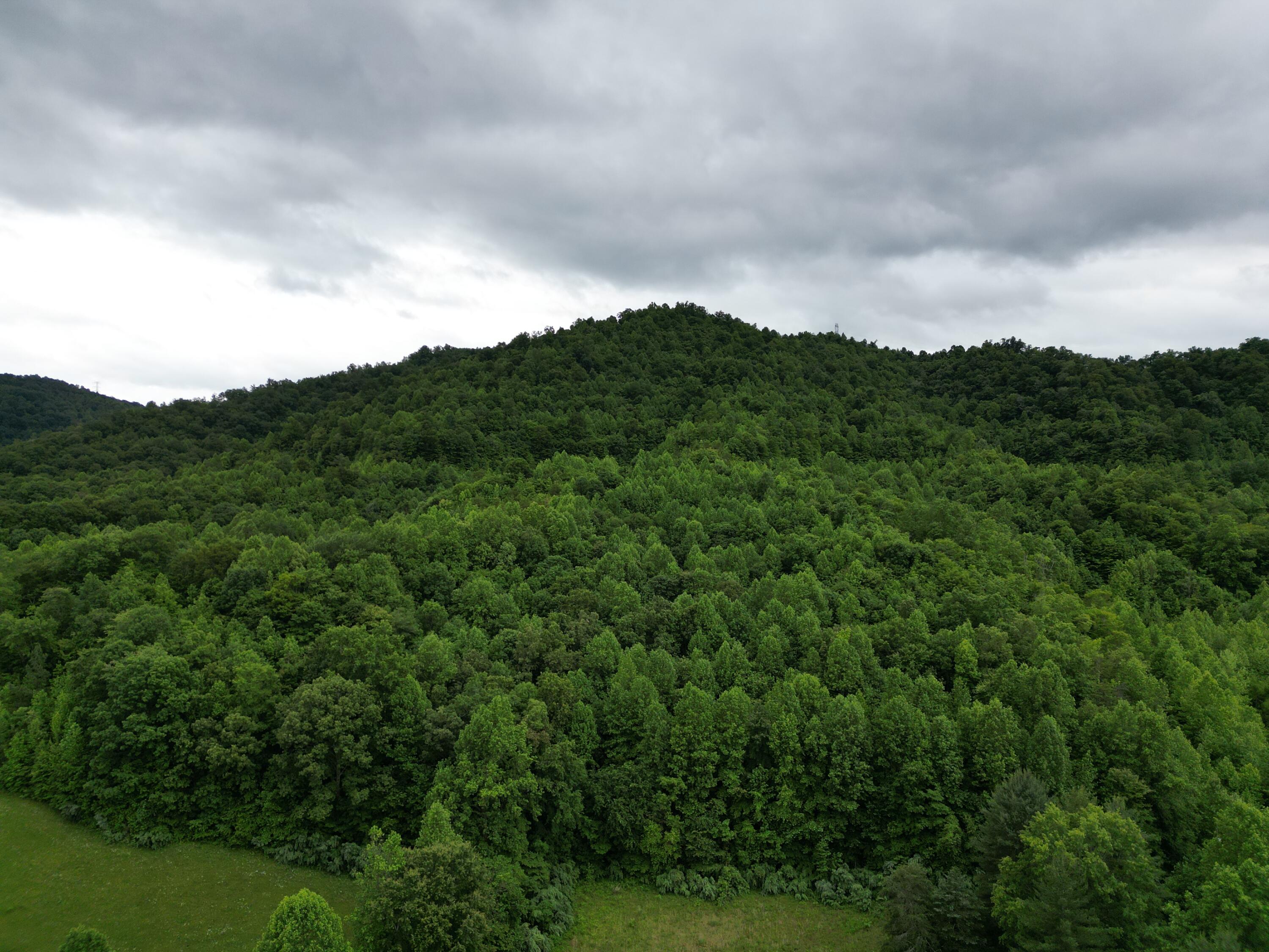 9999 King Fork Road Property Photo 7