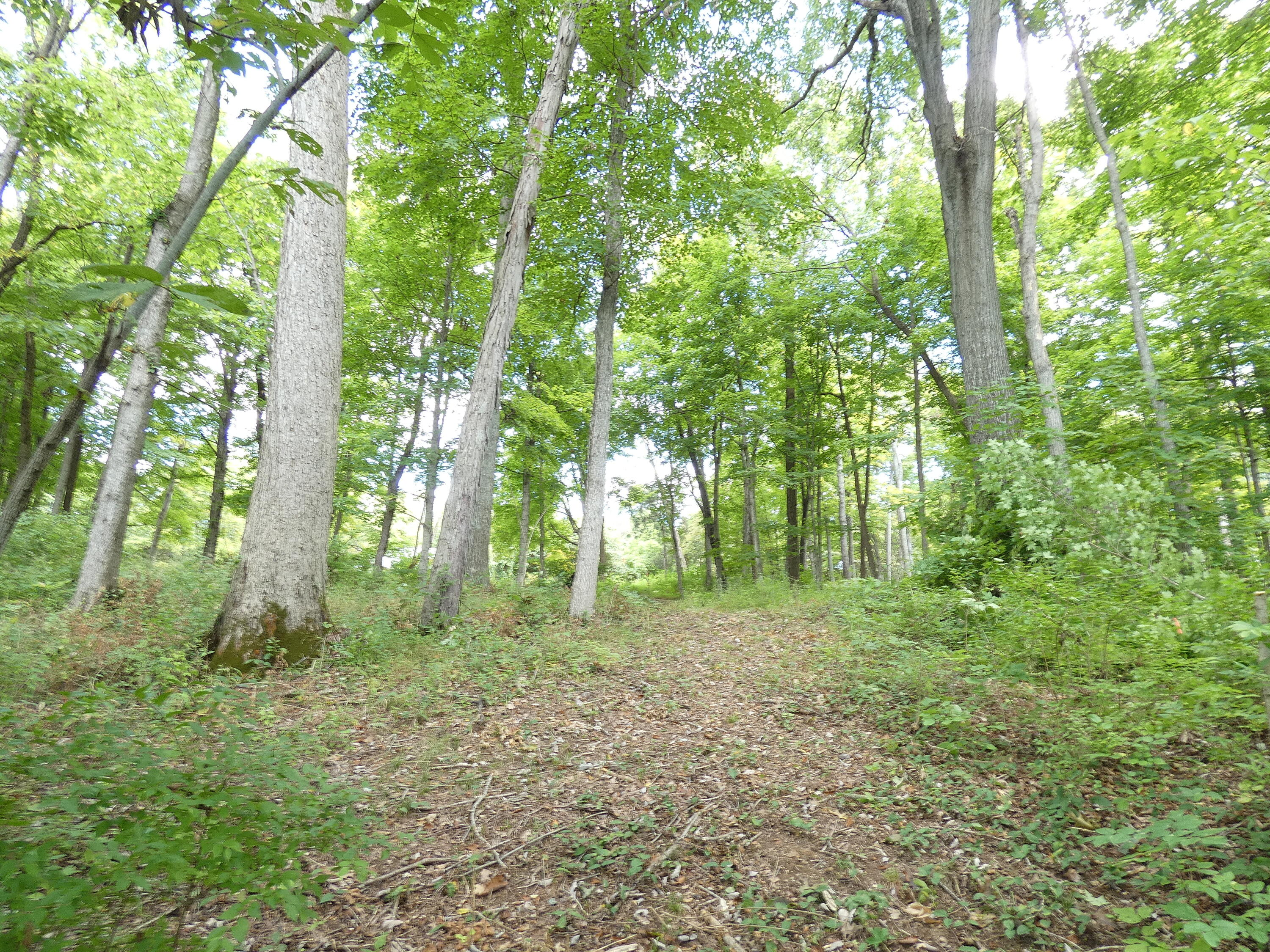 576 Overlook Drive Property Photo 4