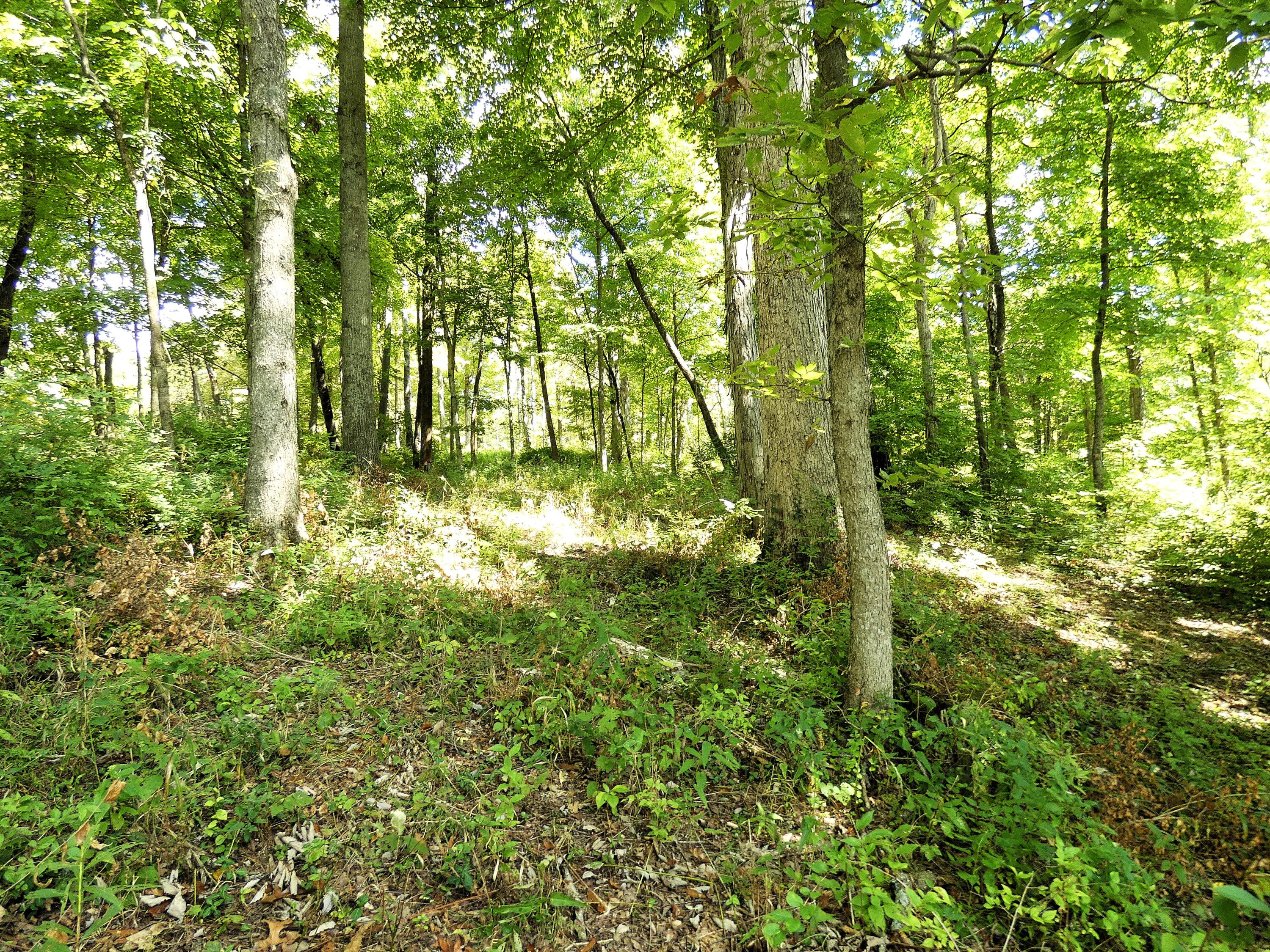 576 Overlook Drive Property Photo 5