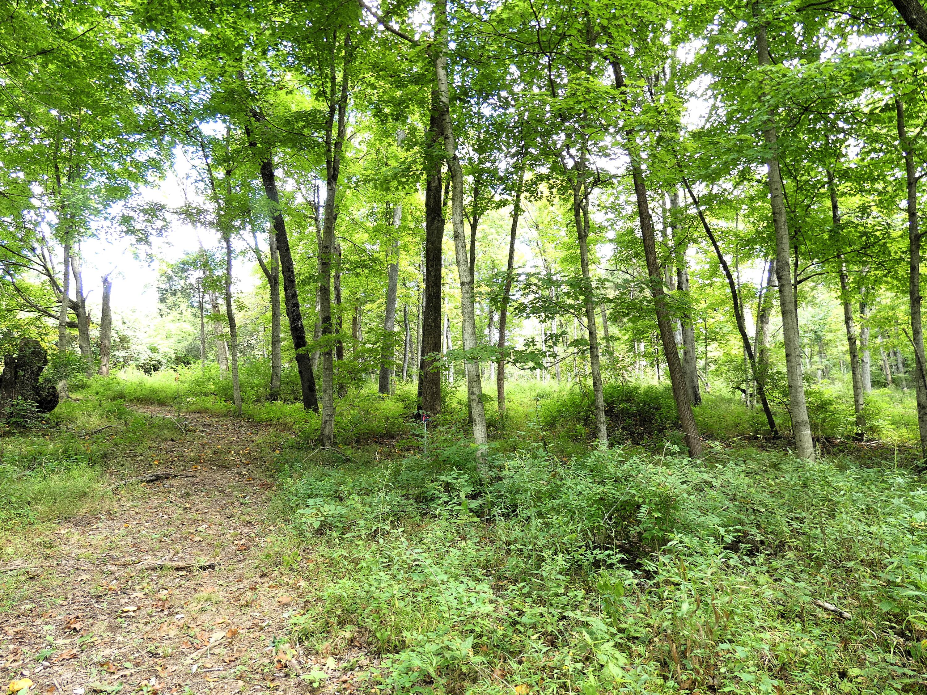 576 Overlook Drive Property Photo 6