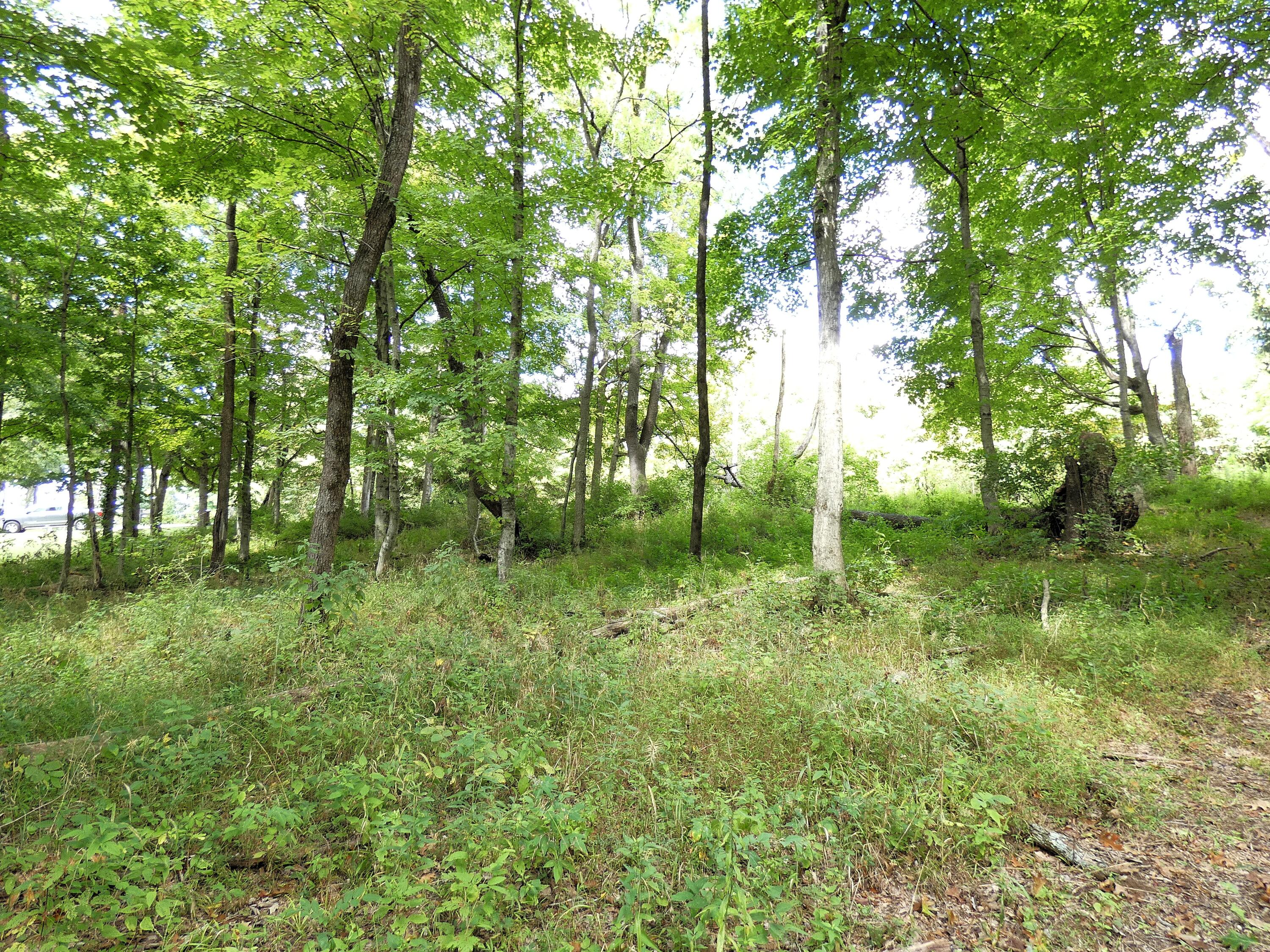 576 Overlook Drive Property Photo 7