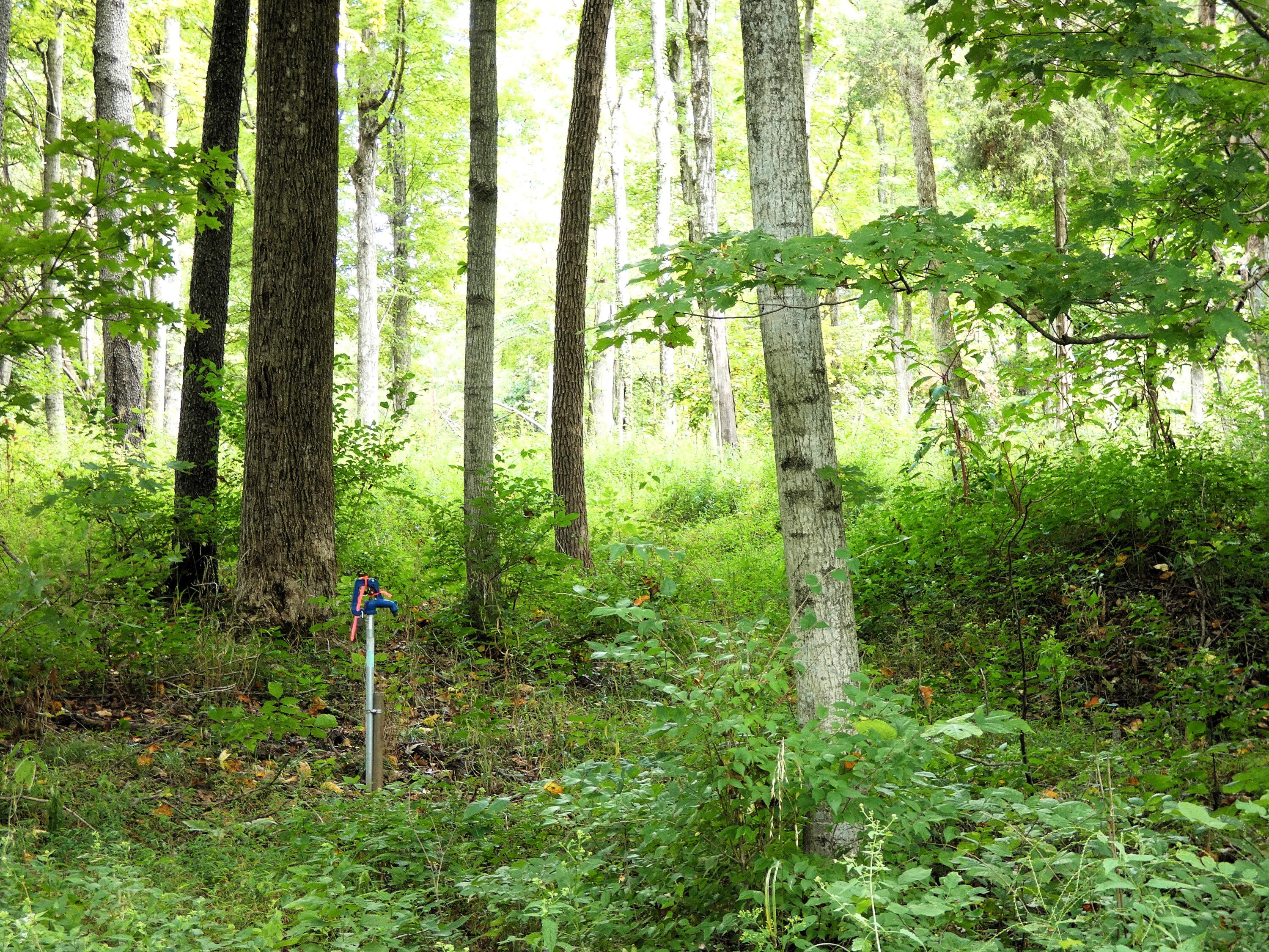 576 Overlook Drive Property Photo 8