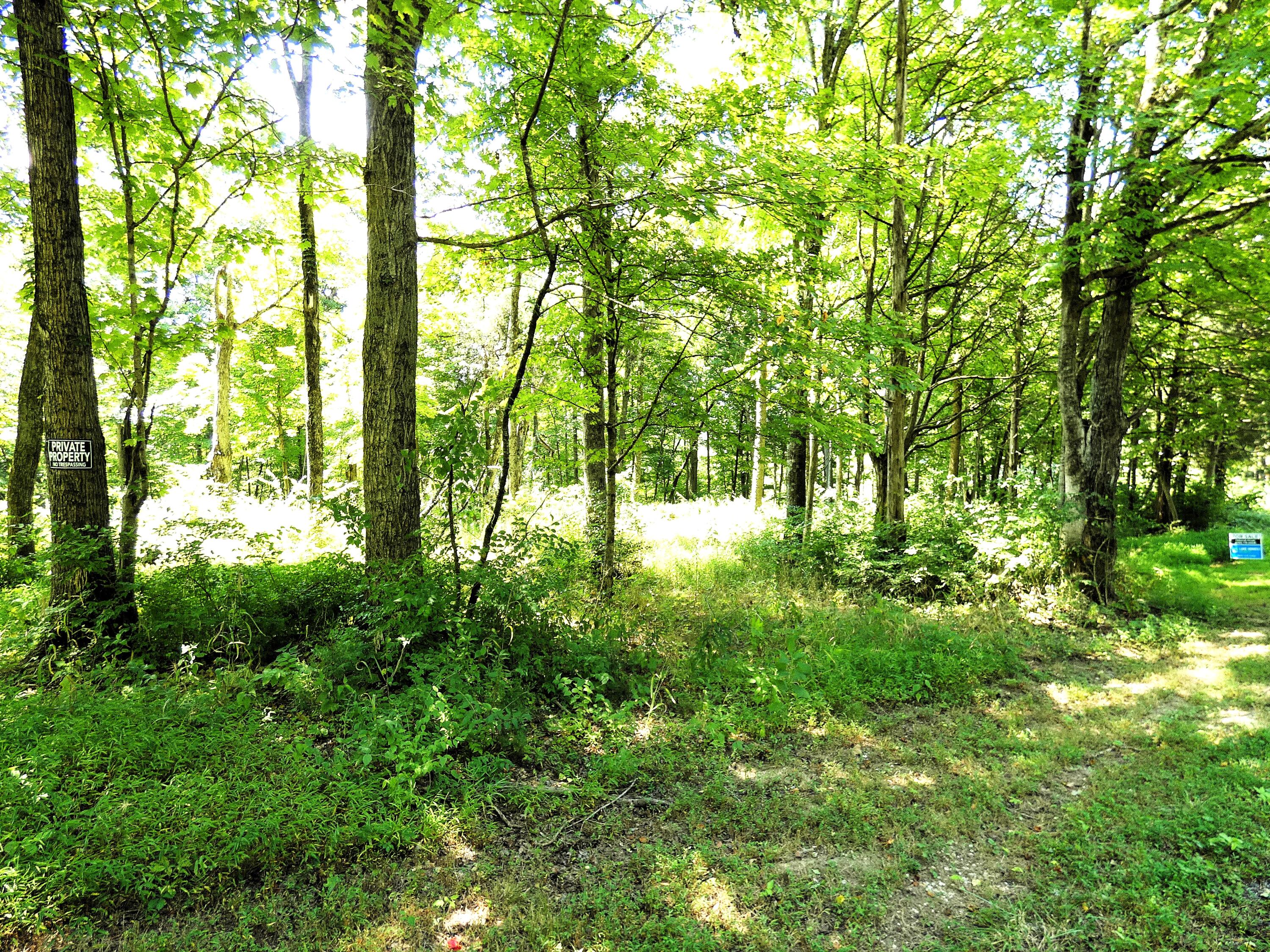 576 Overlook Drive Property Photo 9