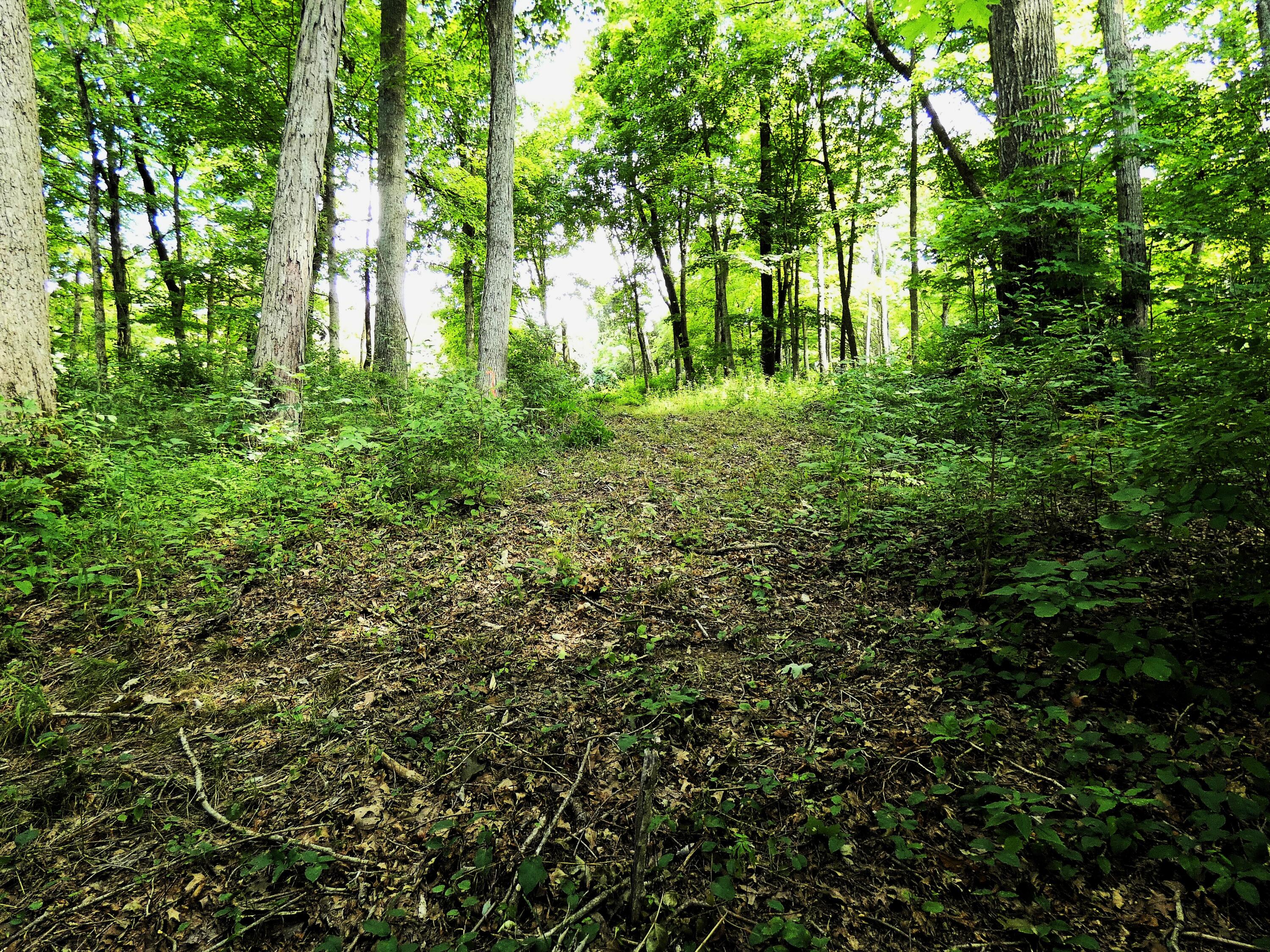 576 Overlook Drive Property Photo 11