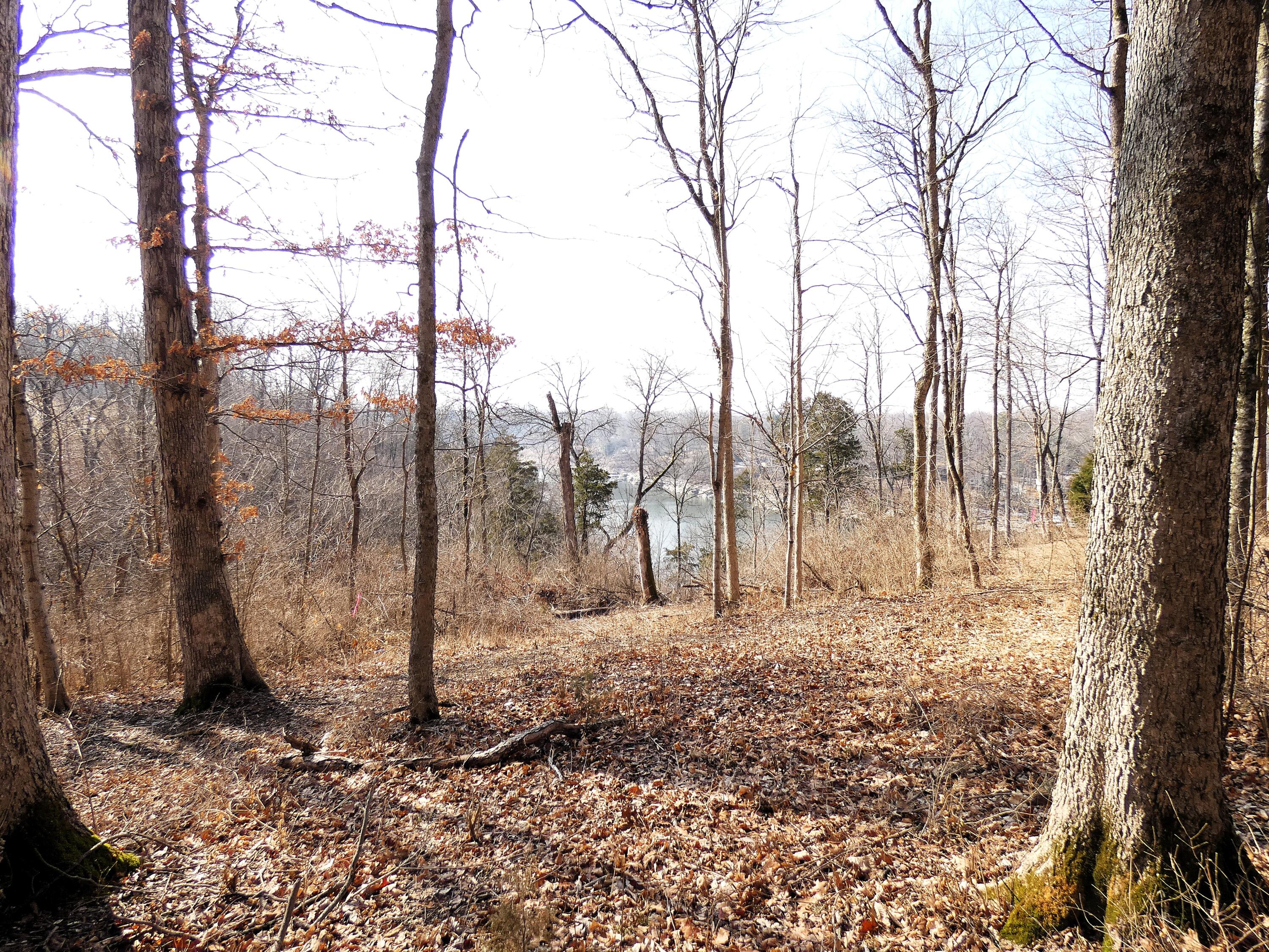 576 Overlook Drive Property Photo 19