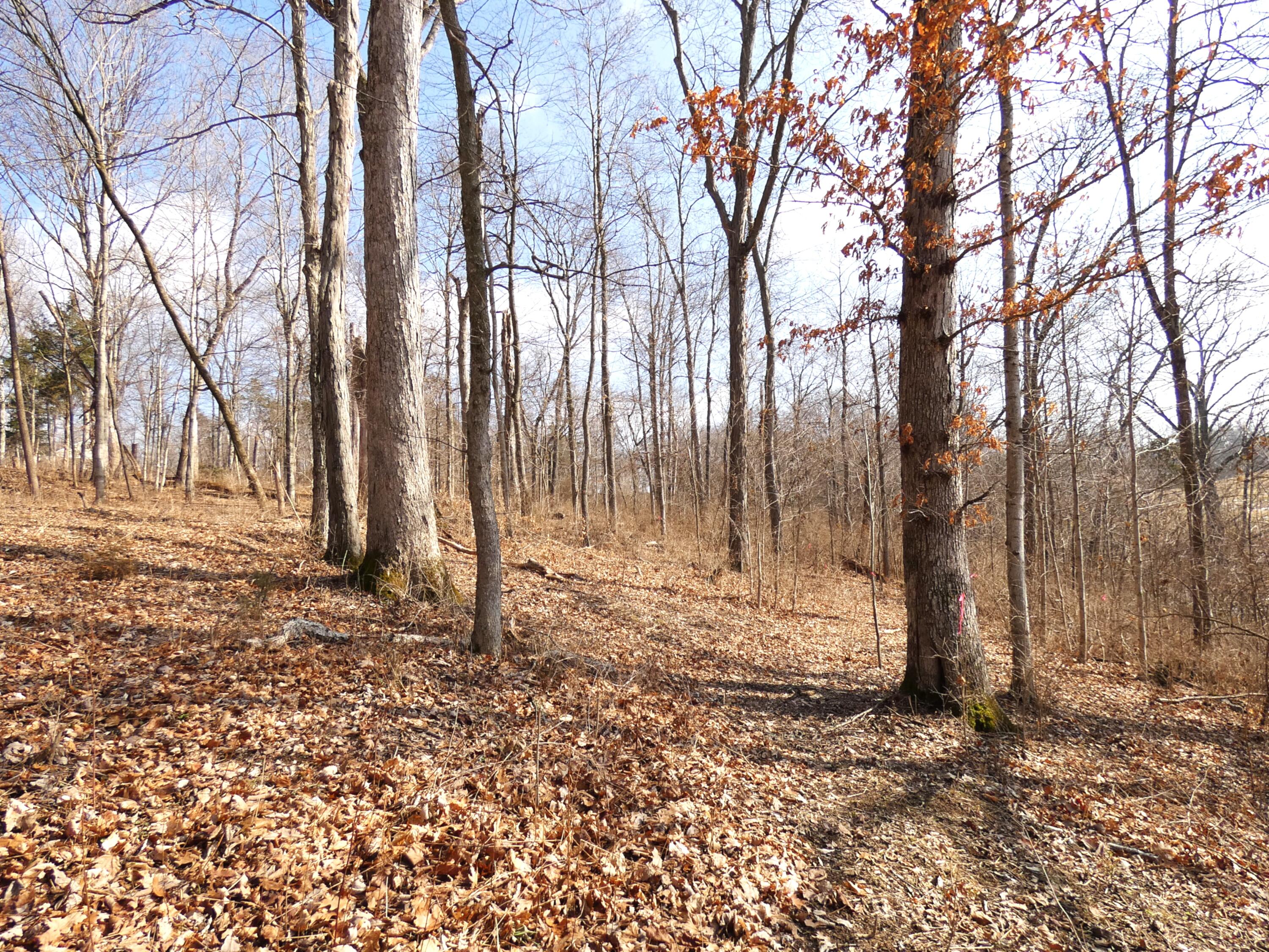 576 Overlook Drive Property Photo 20