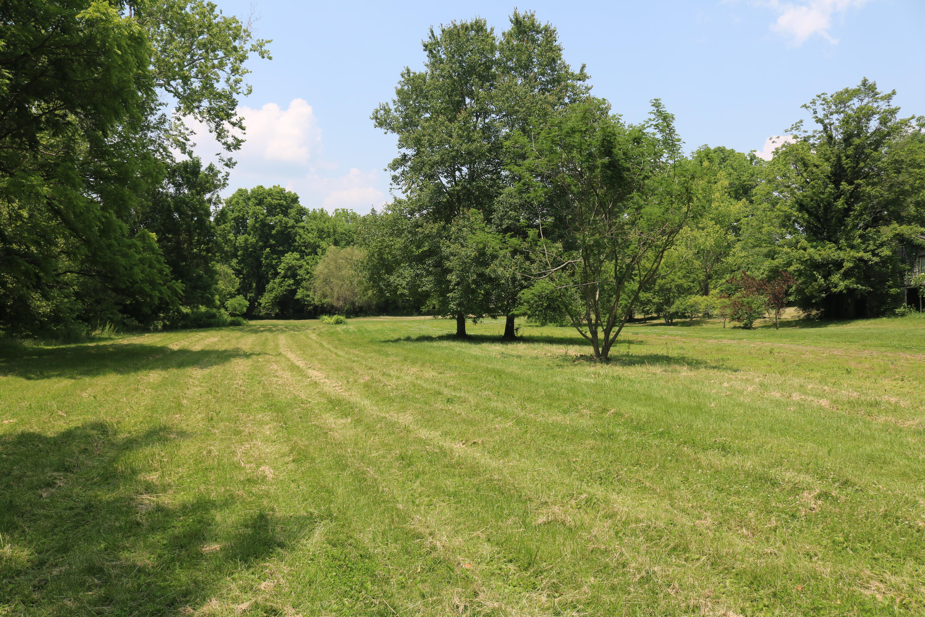 164 Oxbow Road Property Photo 4