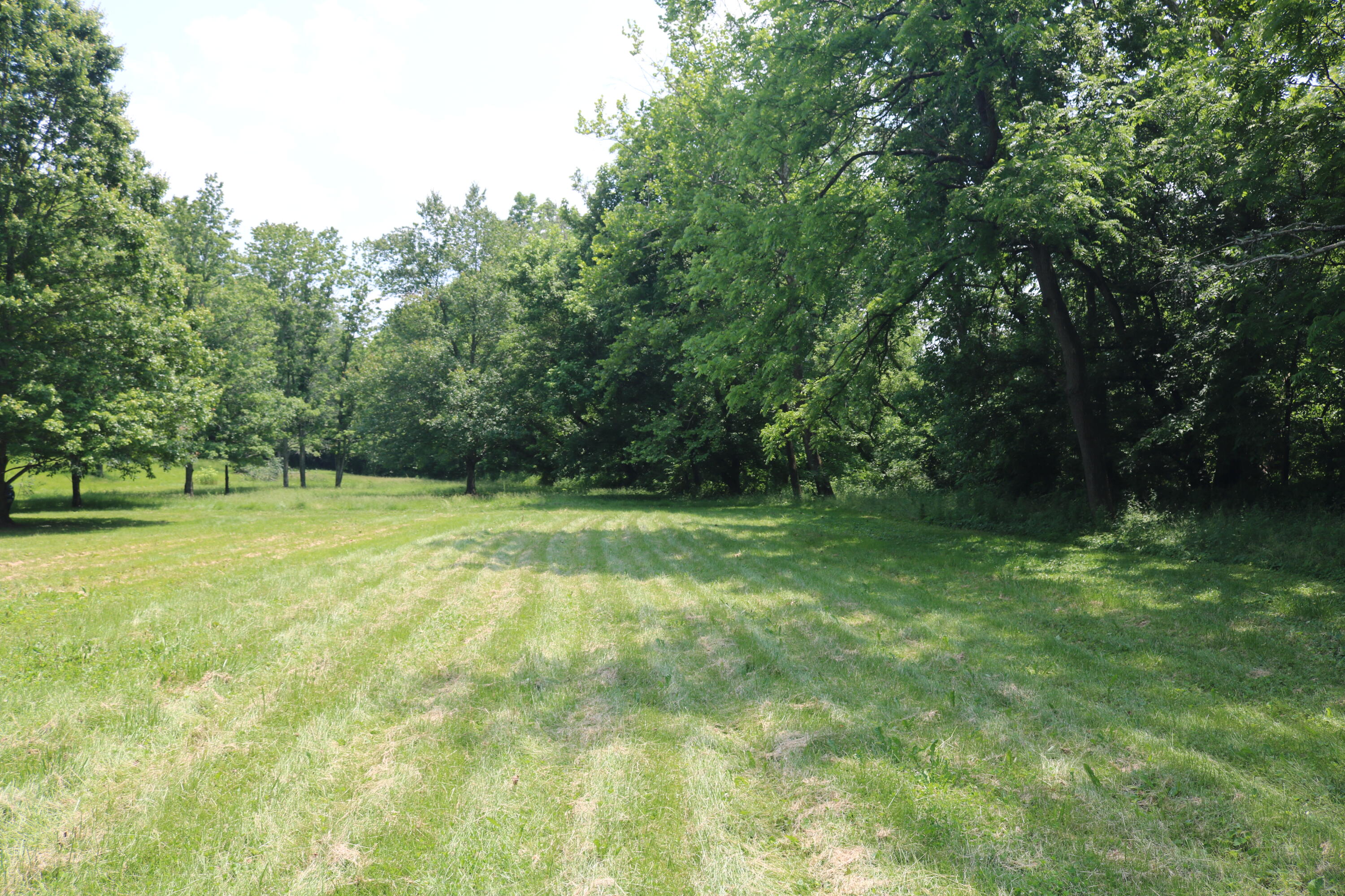 164 Oxbow Road Property Photo 5
