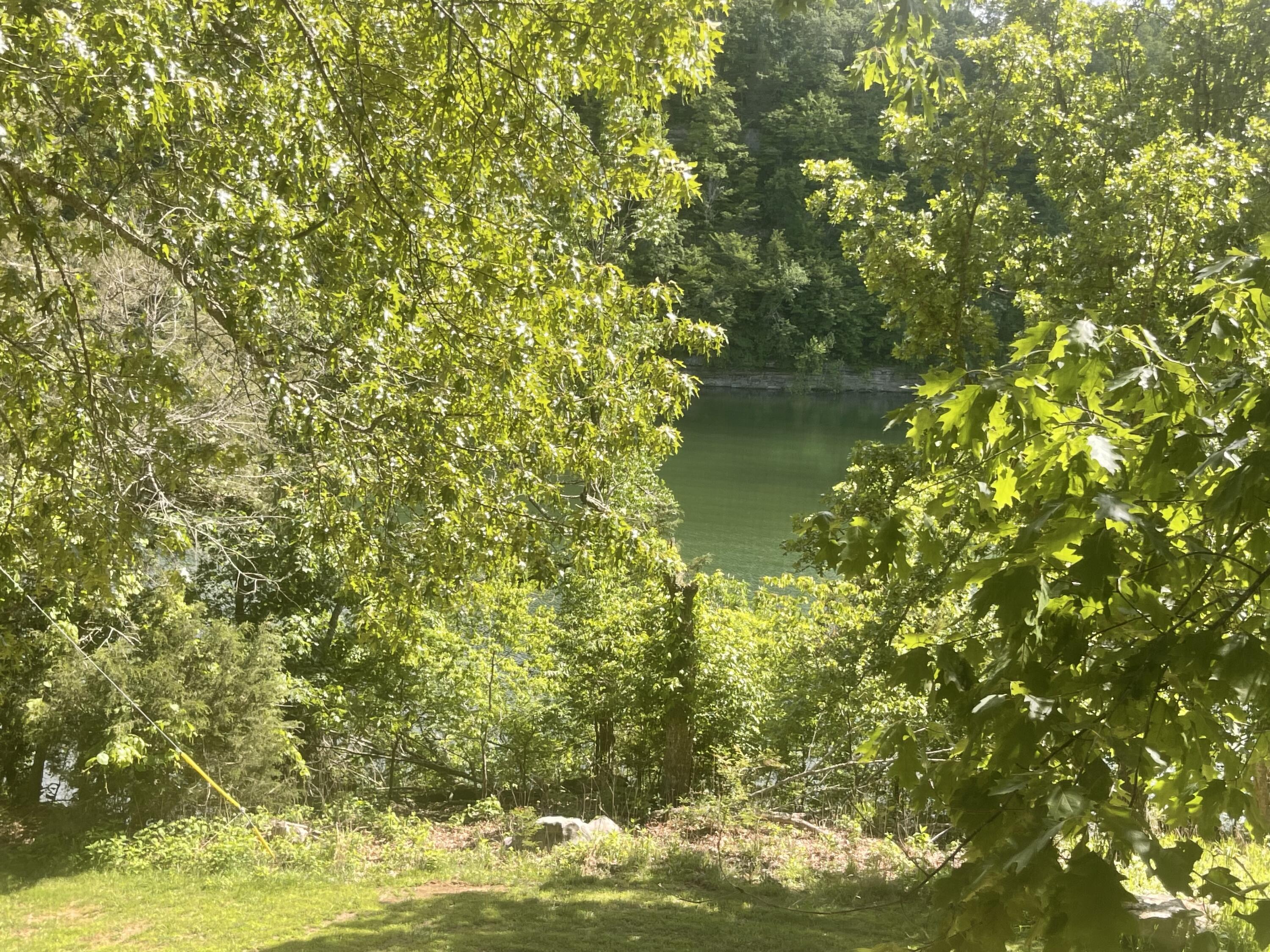 101-3 Woodson Bend Resort Property Photo 2