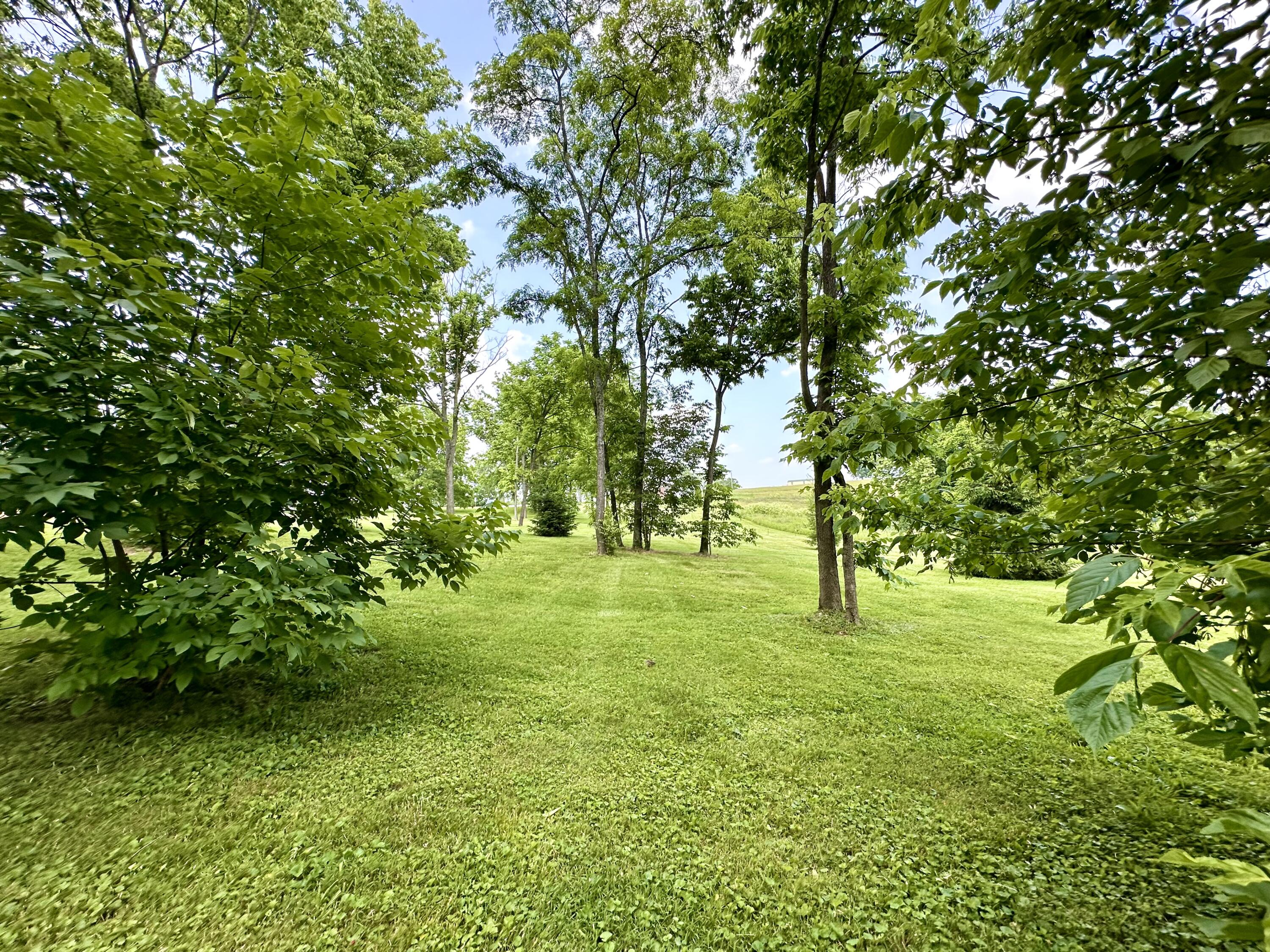 44 Magnolia Avenue Property Photo 15